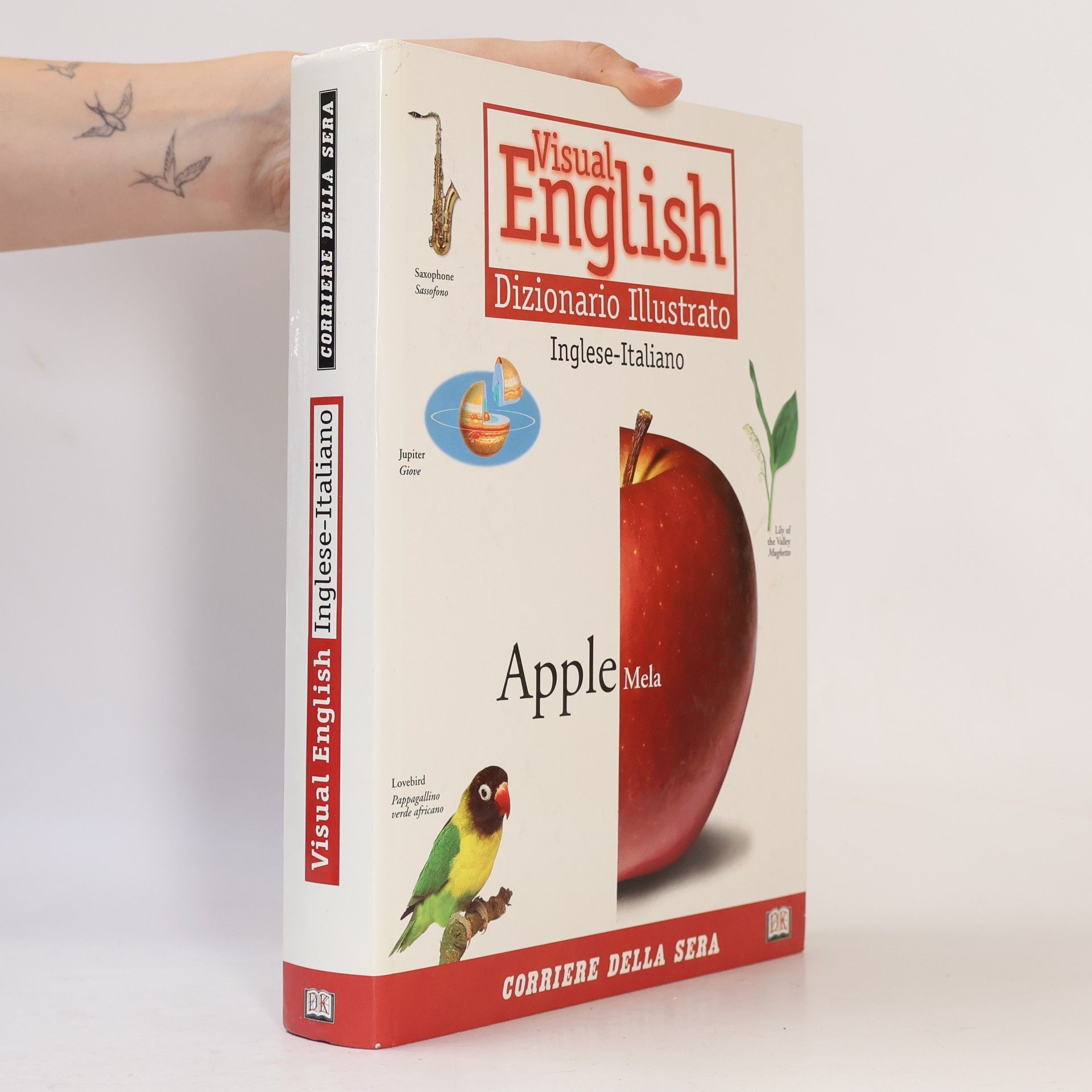 Various authors Visual English. Dizionario Illustrato. Inglese-Italiano