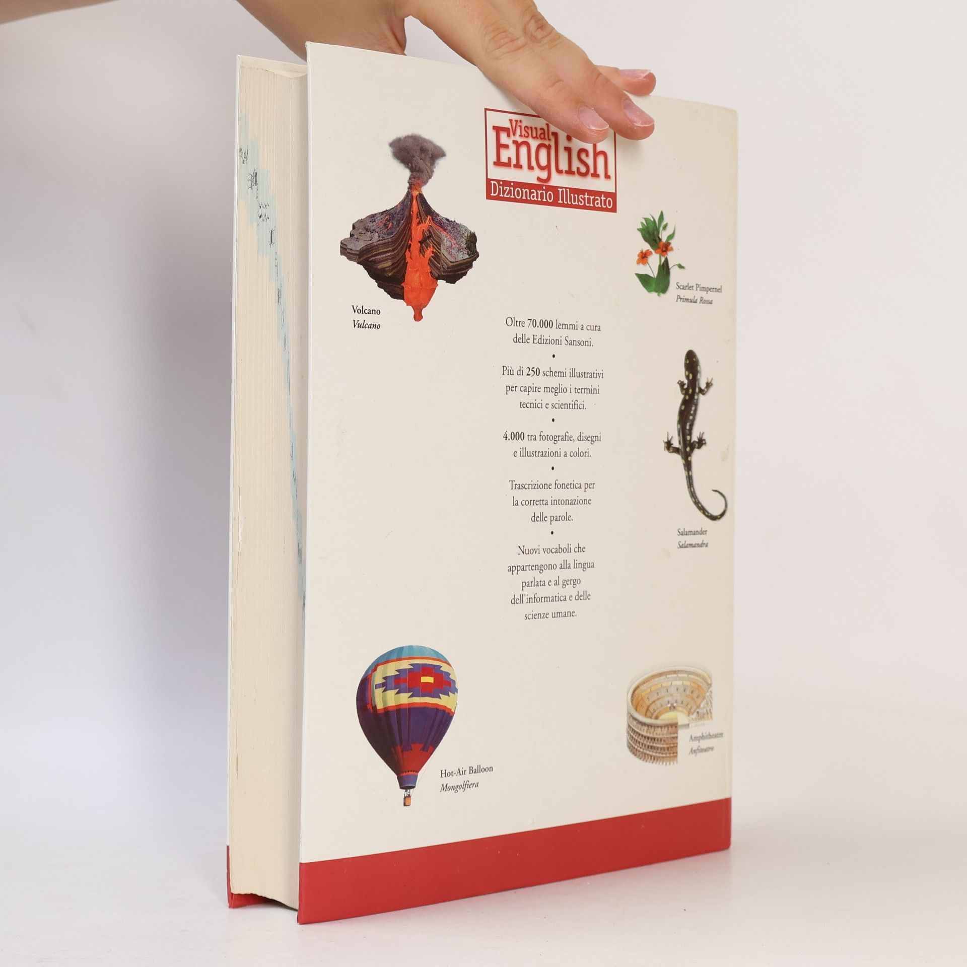 Various authors Visual English. Dizionario Illustrato. Inglese-Italiano