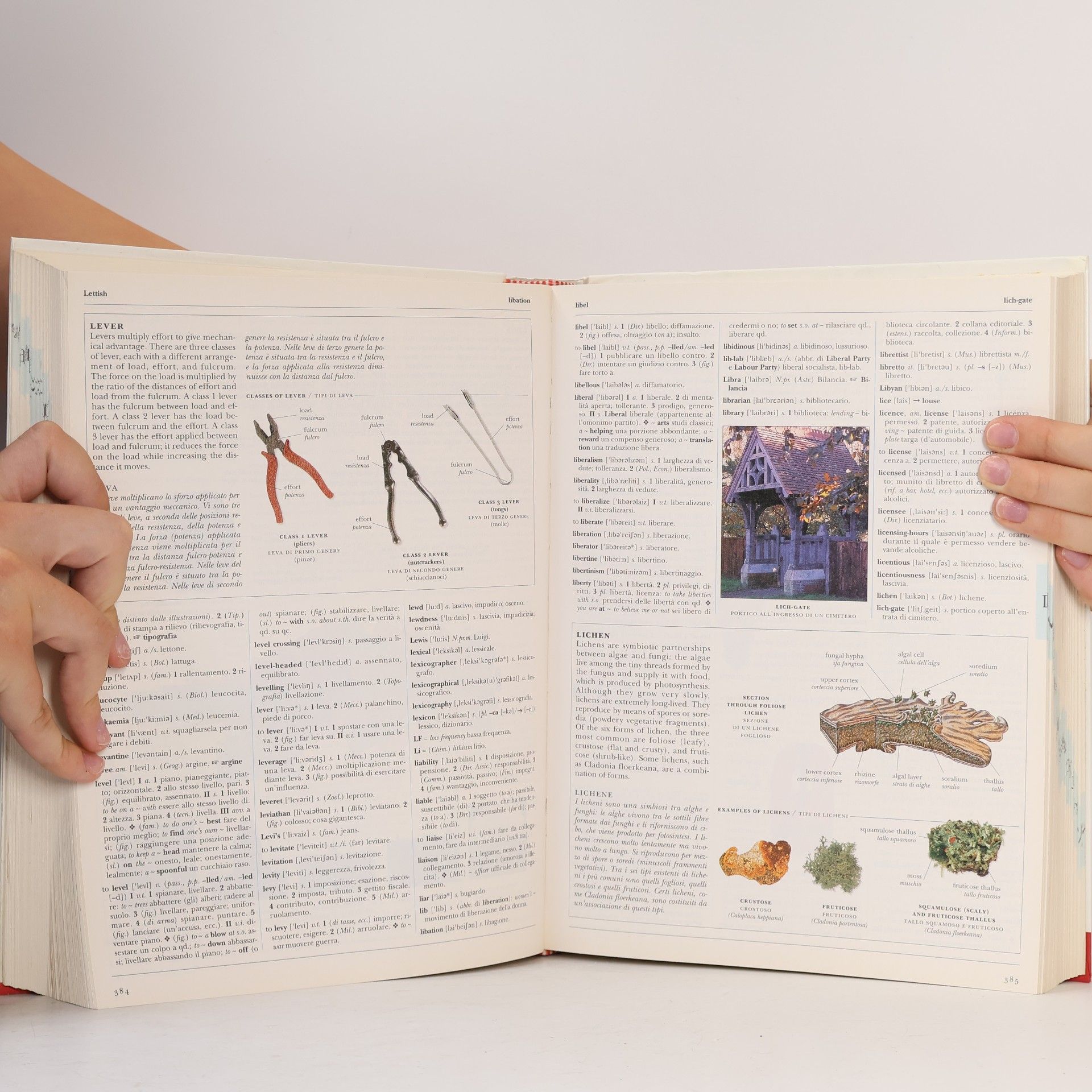 Various authors Visual English. Dizionario Illustrato. Inglese-Italiano