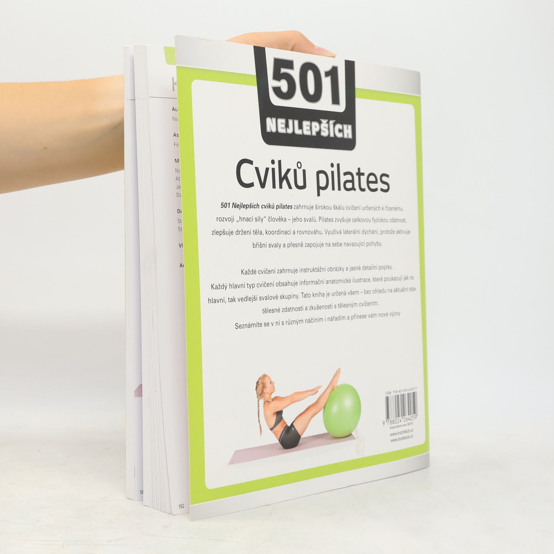 Audra Avizienis 501 nejlepších cviků pilates