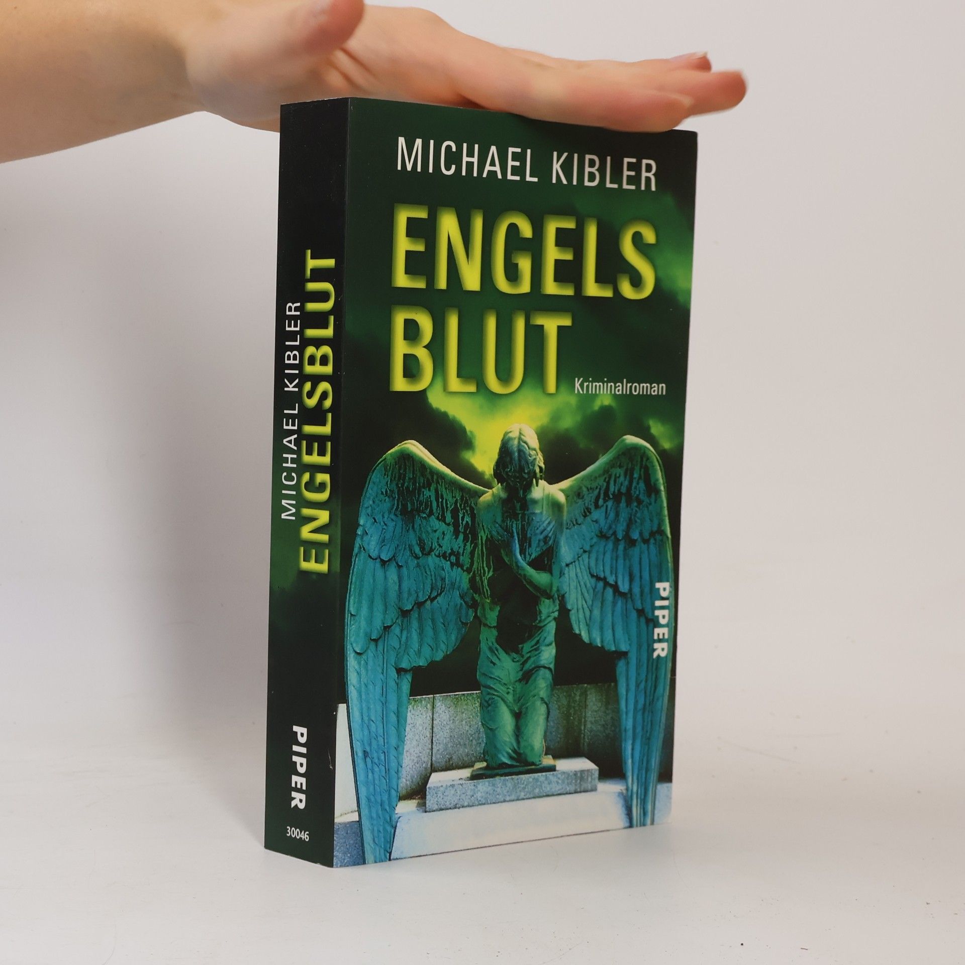Michael Kibler Engelsblut