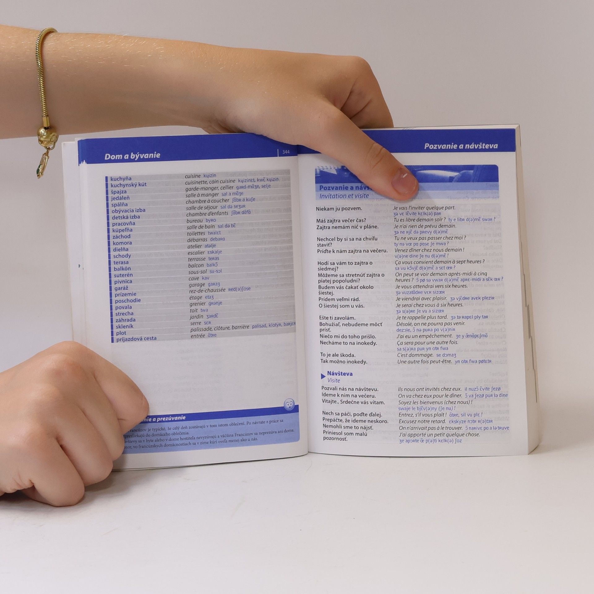 Autores varios Francúzsko-slovenský slovensko-francúzsky šikovný slovník