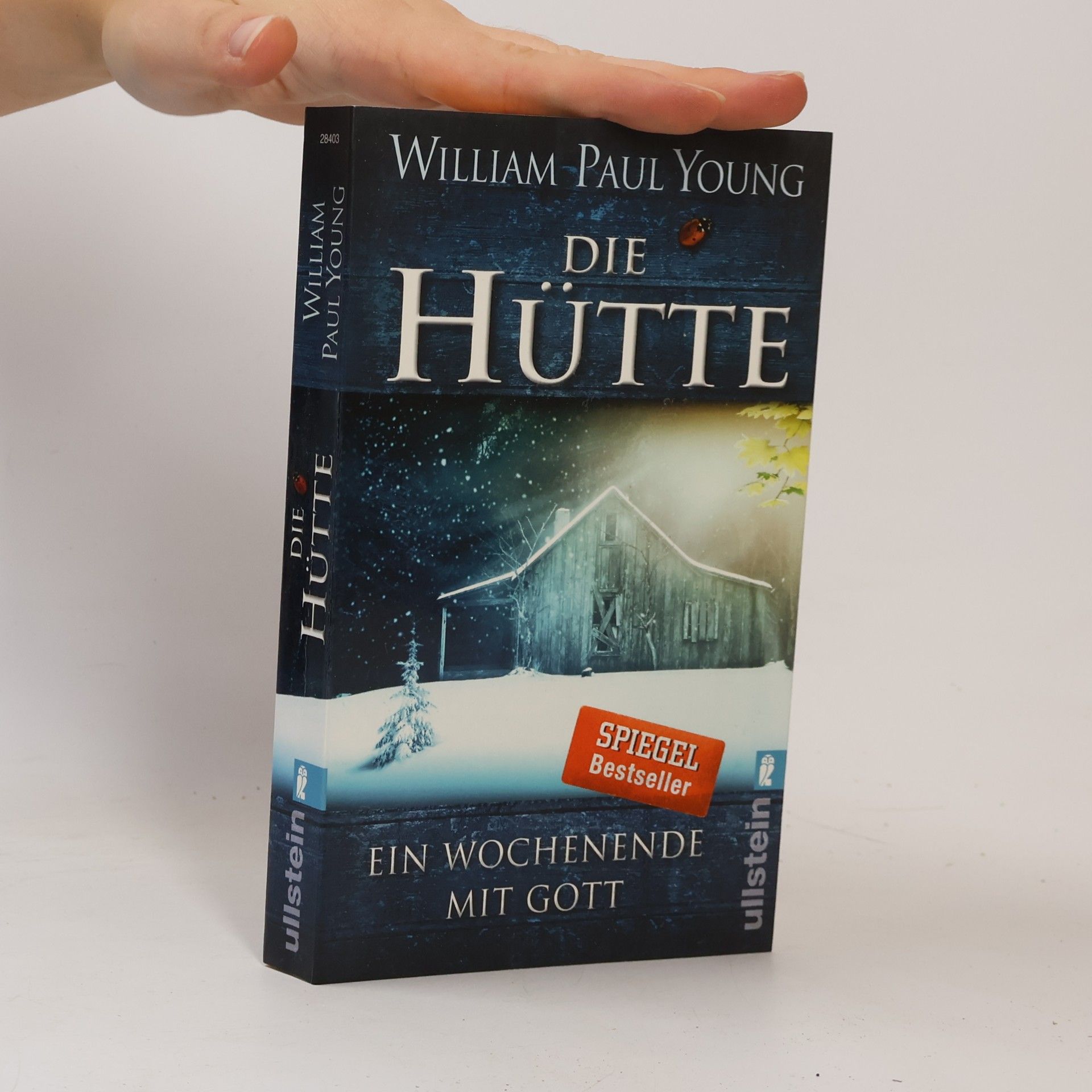 William P. Young Die Hütte
