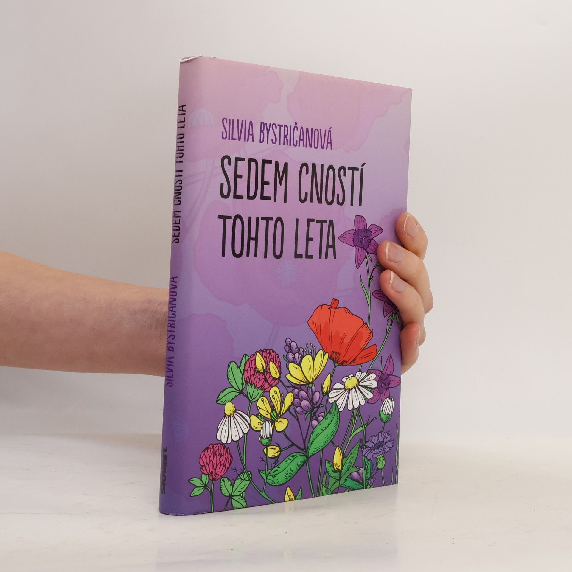Silvia Bystričanová Sedem cností tohto leta