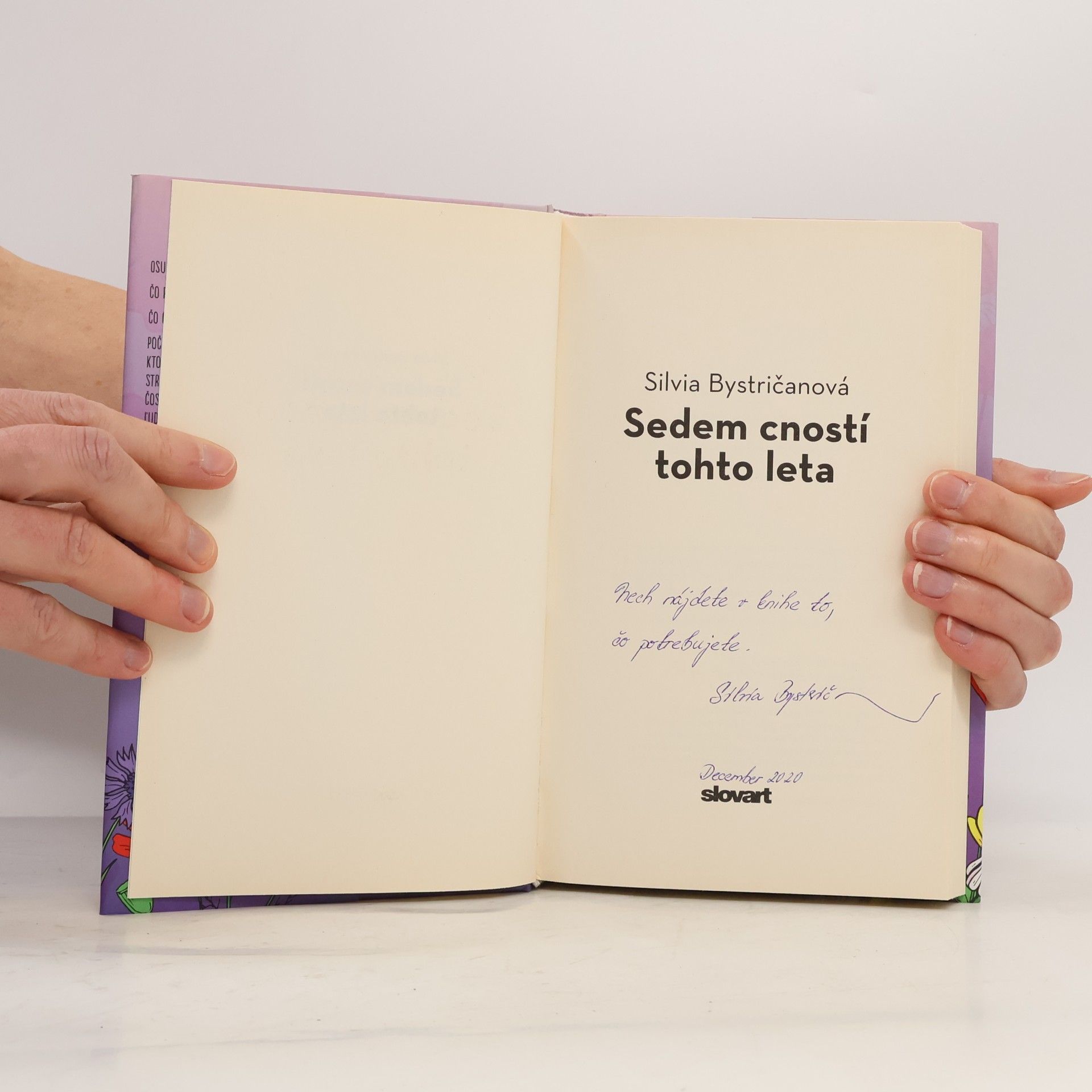 Silvia Bystričanová Sedem cností tohto leta