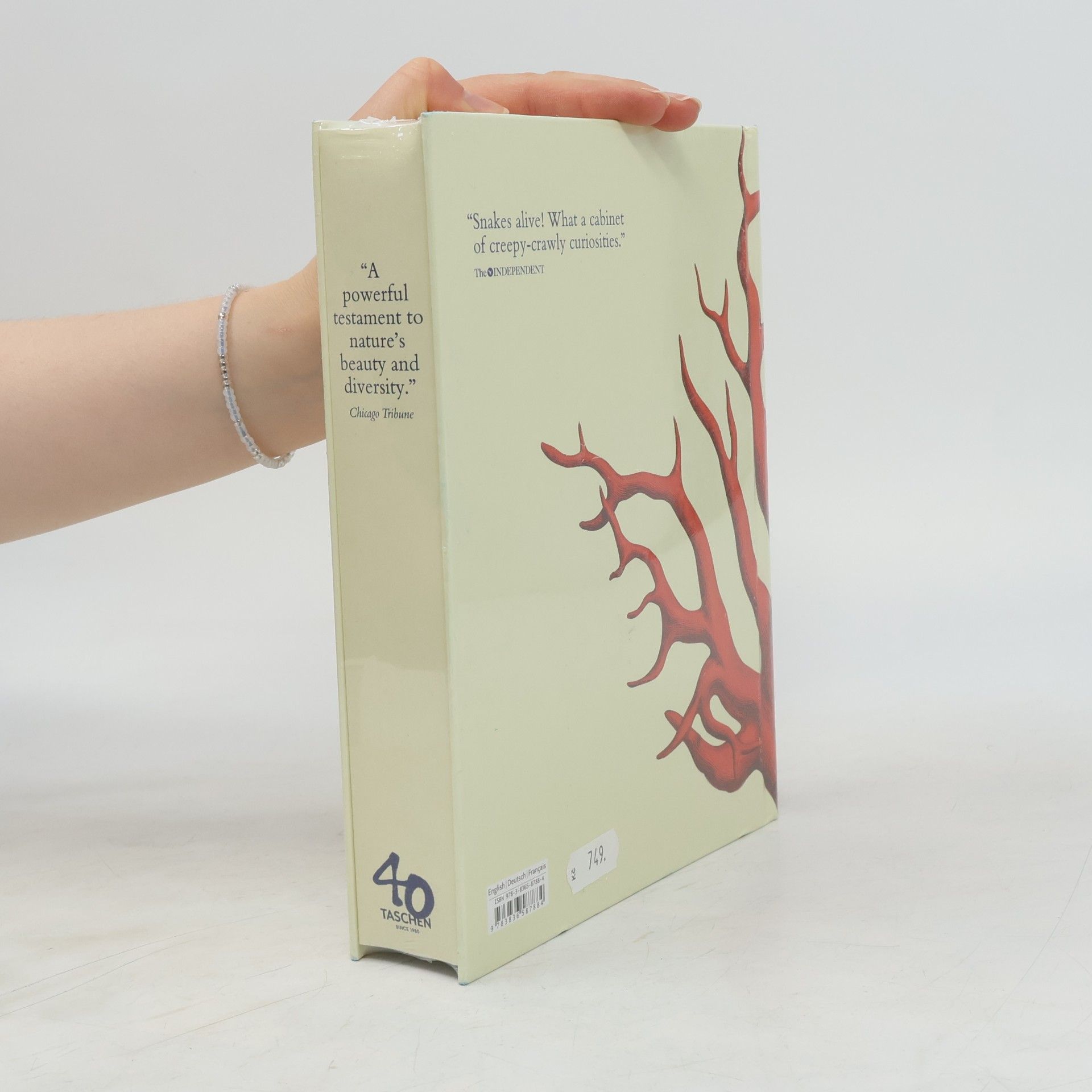 Rainer Willmann Seba. Cabinet of Natural Curiosities. 40th Ed