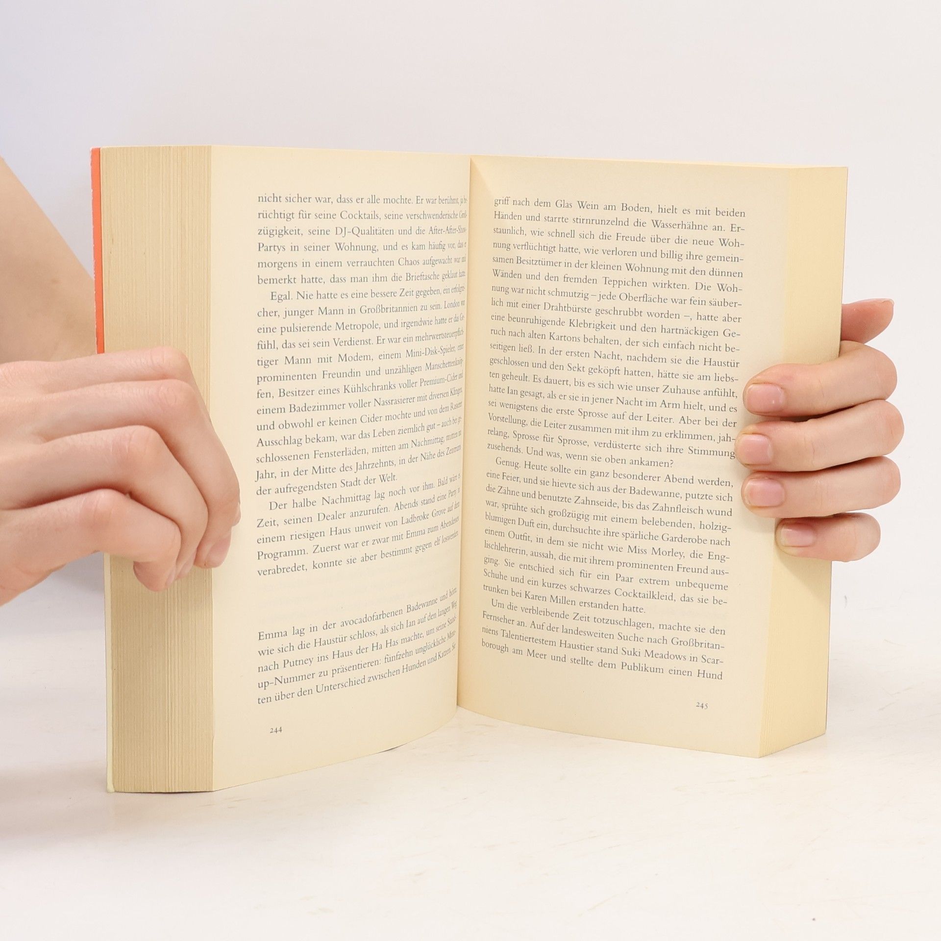 David Nicholls Zwei an einem Tag