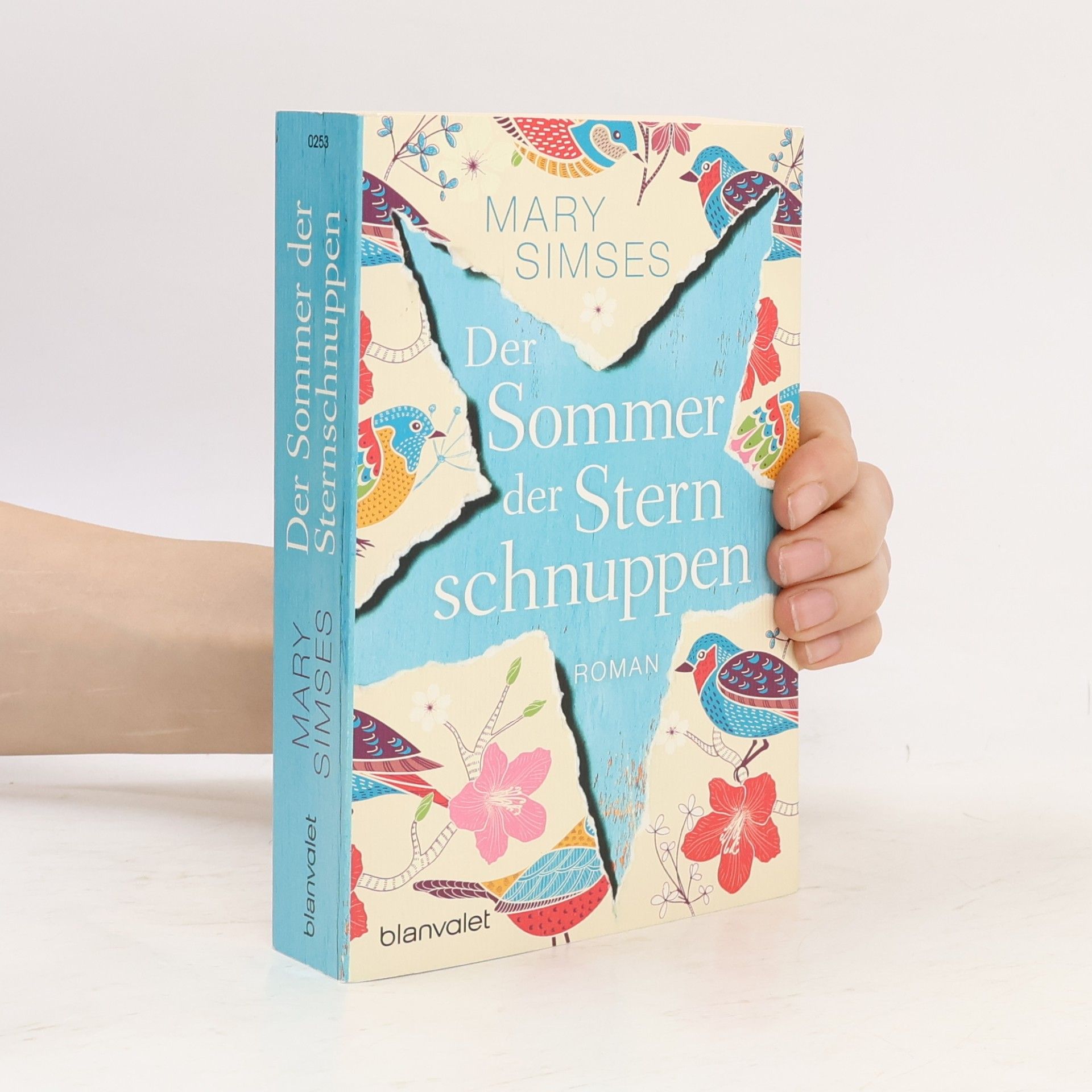 Mary Simses Der Sommer der Sternschnuppen