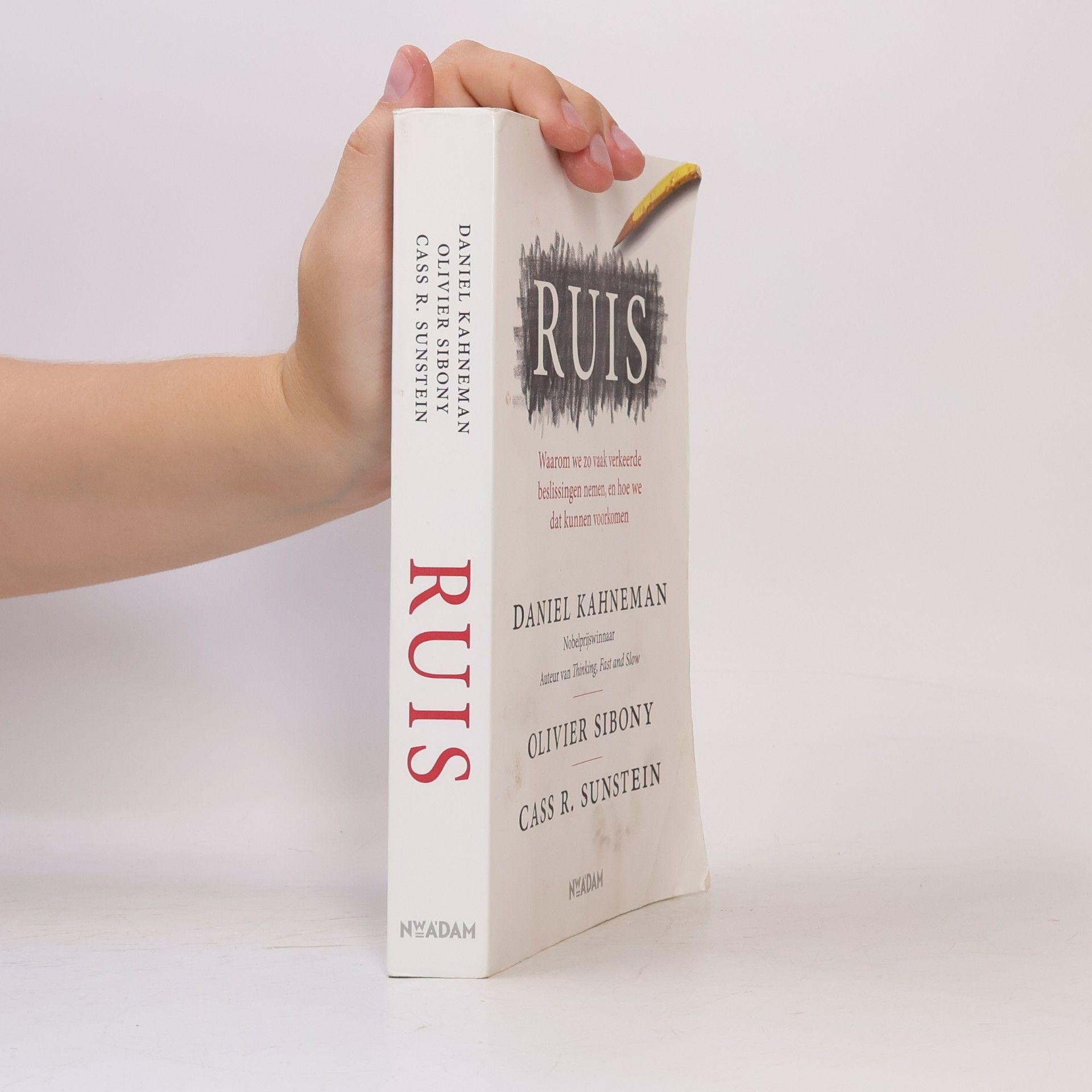 Daniel Kahneman Ruis