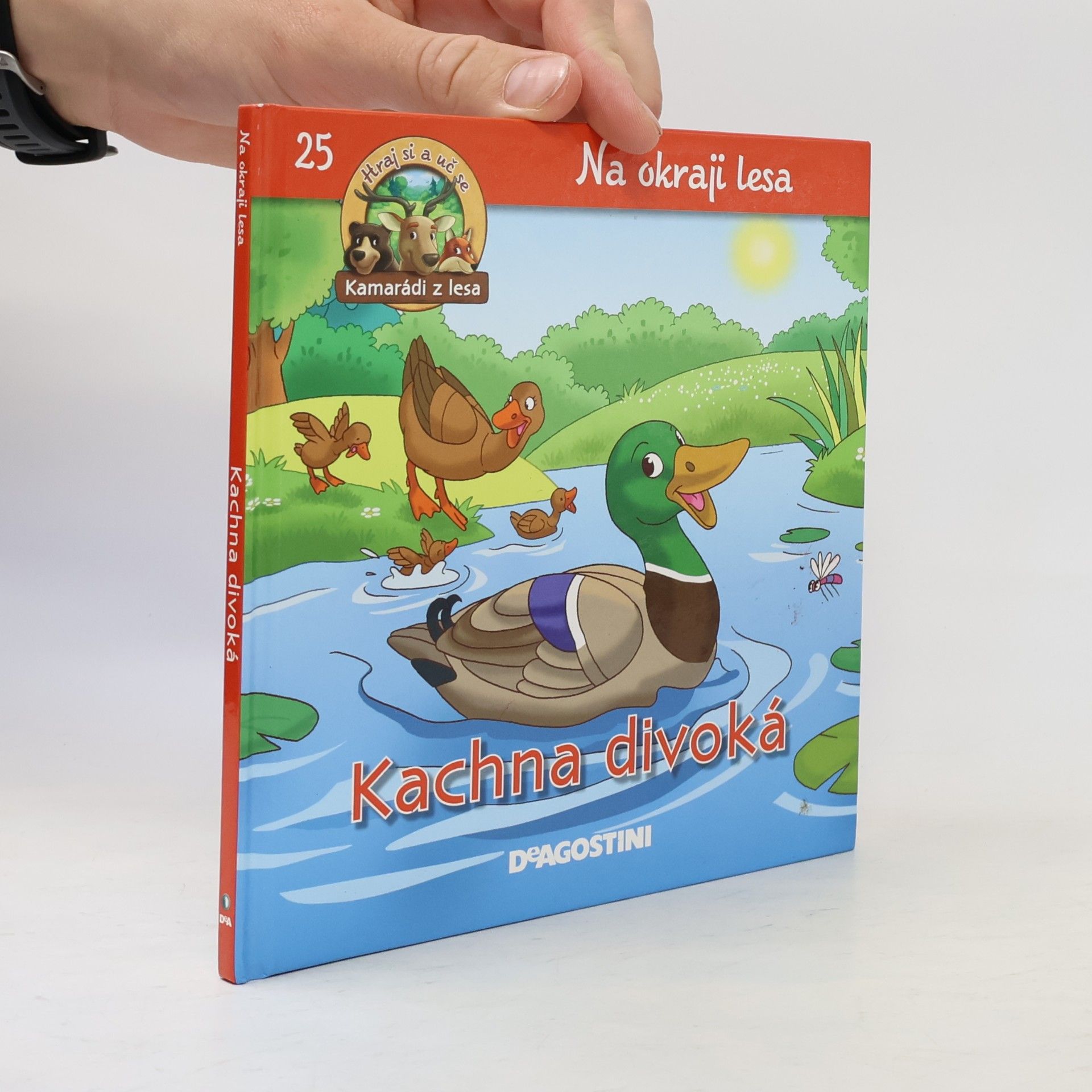 Kolektiv autorů Na okraji lesa 25. Kachna divoká