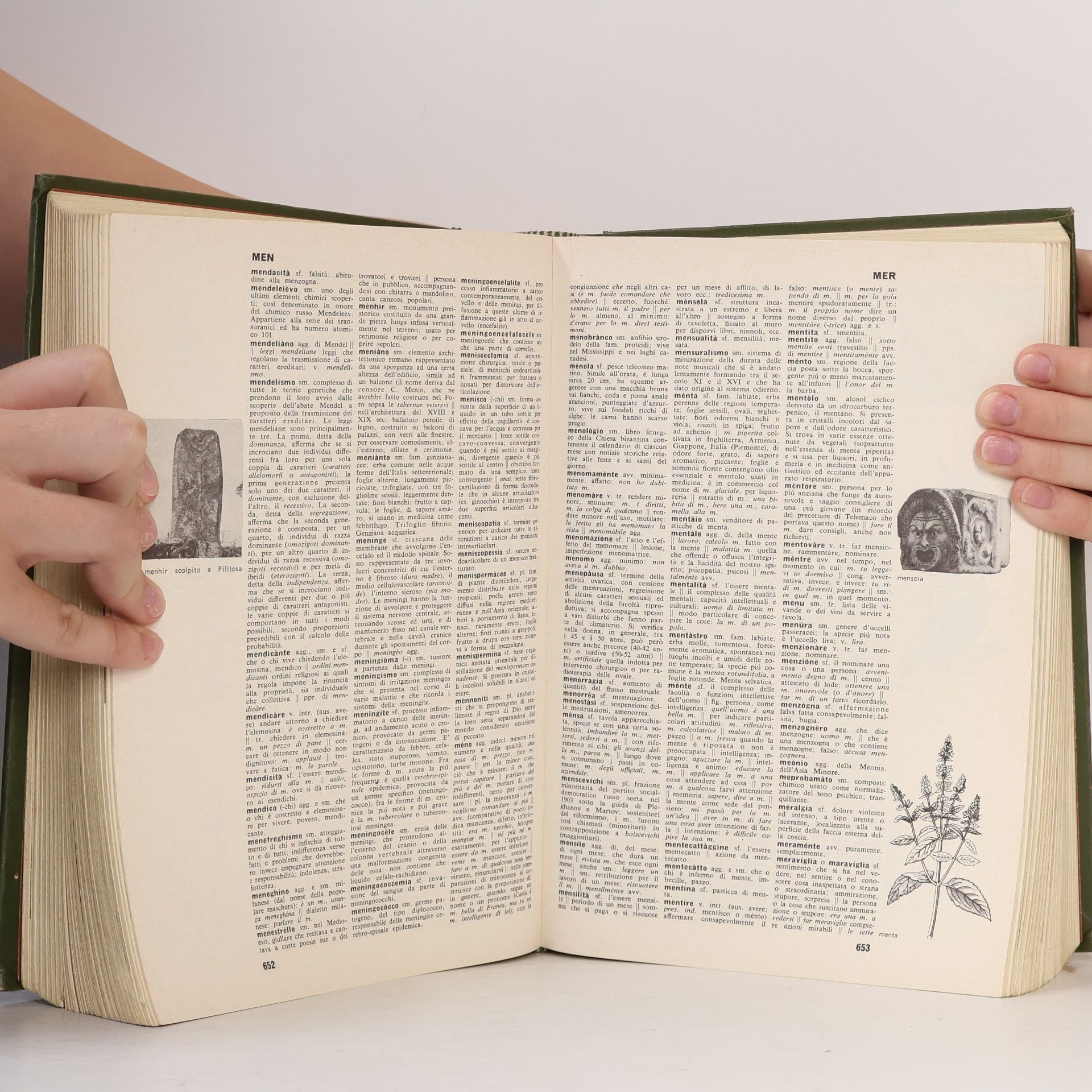 Various authors Modernissimo dizionario illustrato