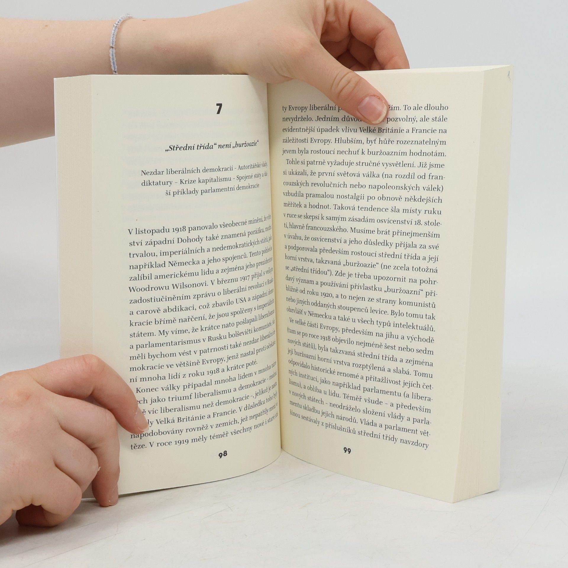 John Lukacs Stručné dějiny 20. století