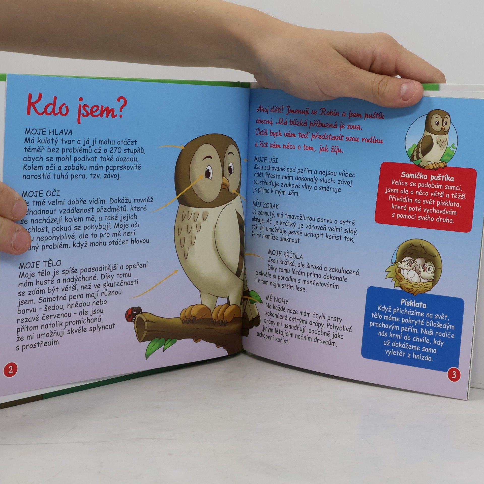 Autorenkollektiv Bydlím v lese 4. Puštík