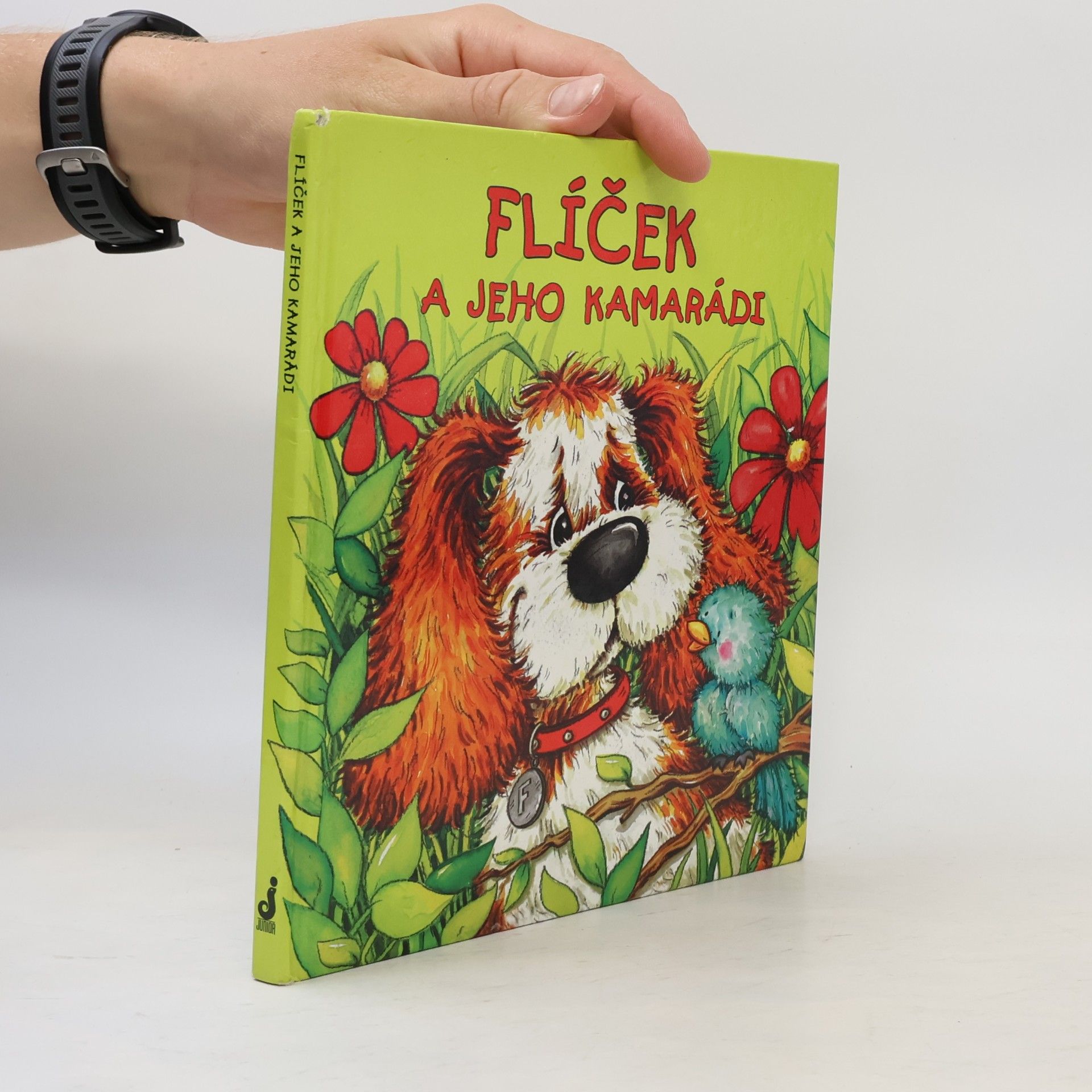 Špačková Alena Flíček a jeho kamarádi
