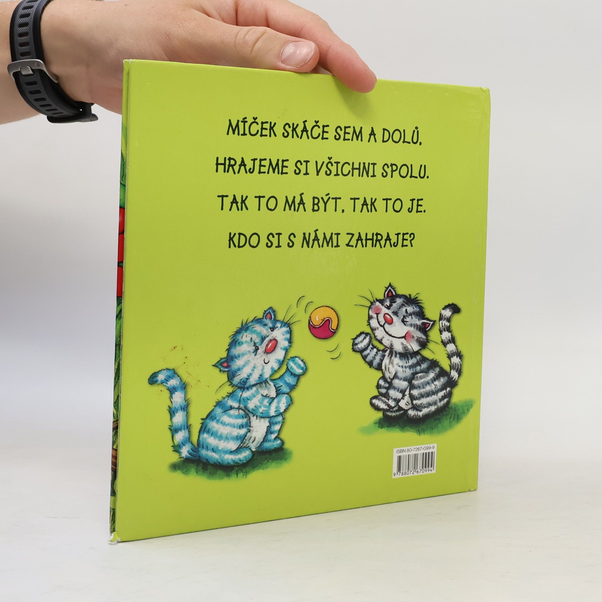 Alena Špačková Flíček a jeho kamarádi