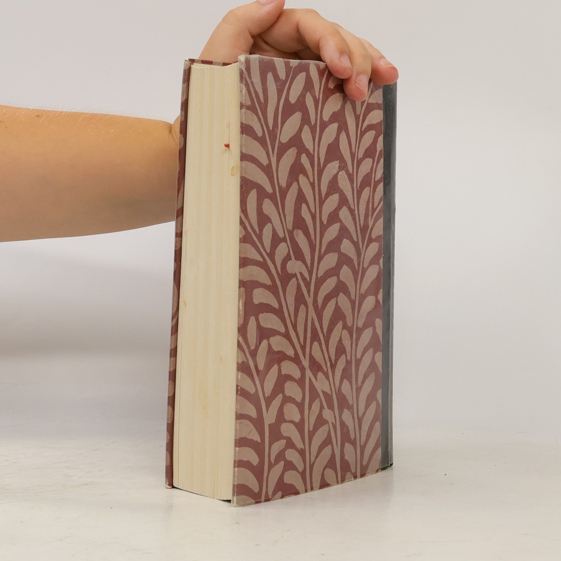 Marianne Hochhuth Das Buch der Gedichte