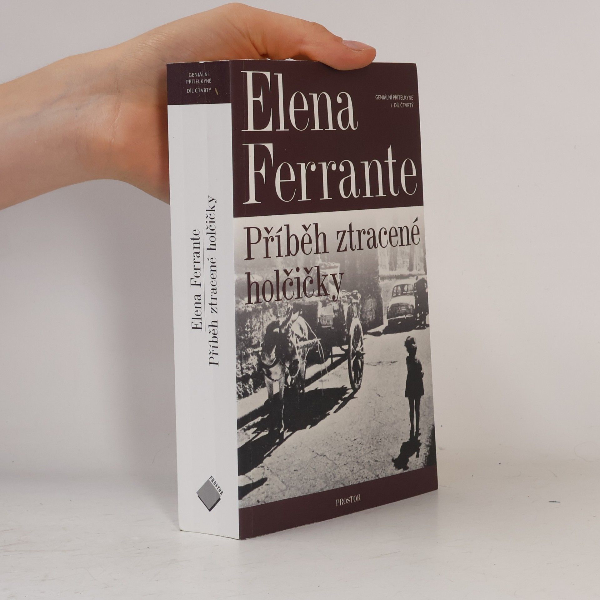 Elena Ferrante Příběh ztracené holčičky. Geniální přítelkyně. 4. díl
