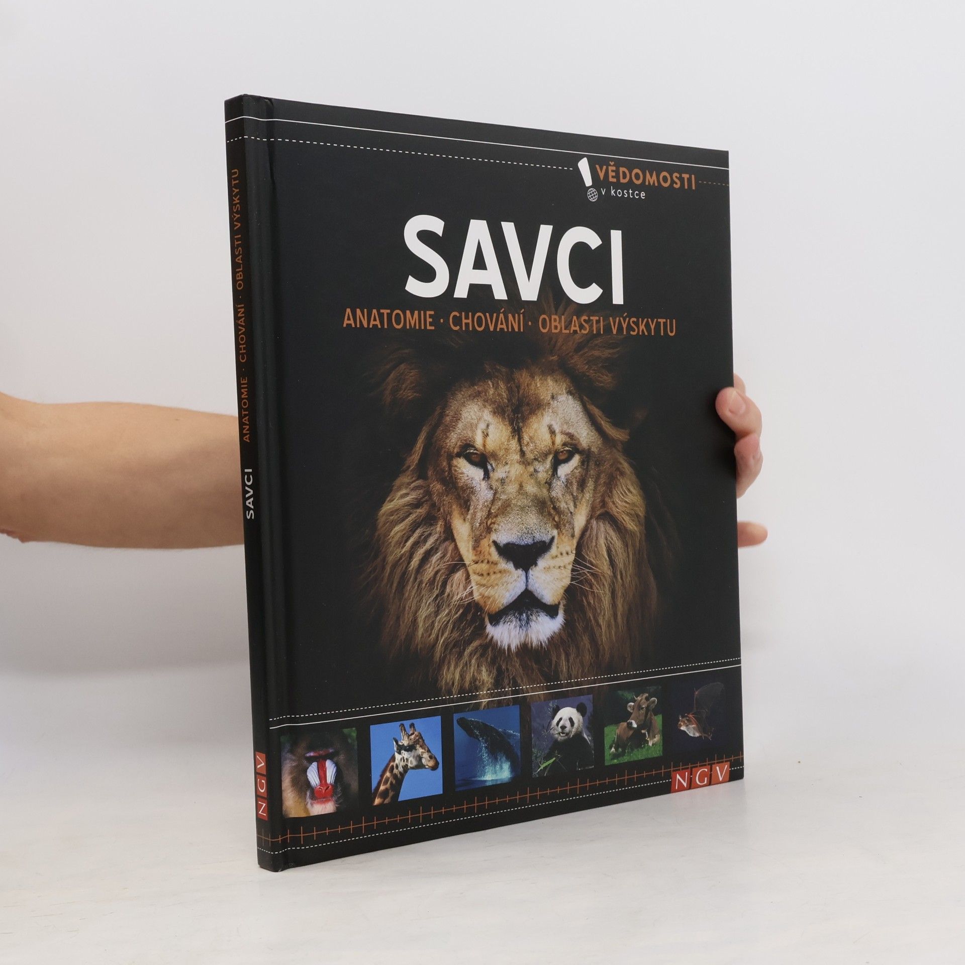 Autorenkollektiv Savci. Anatomie, chování, oblasti výskytu