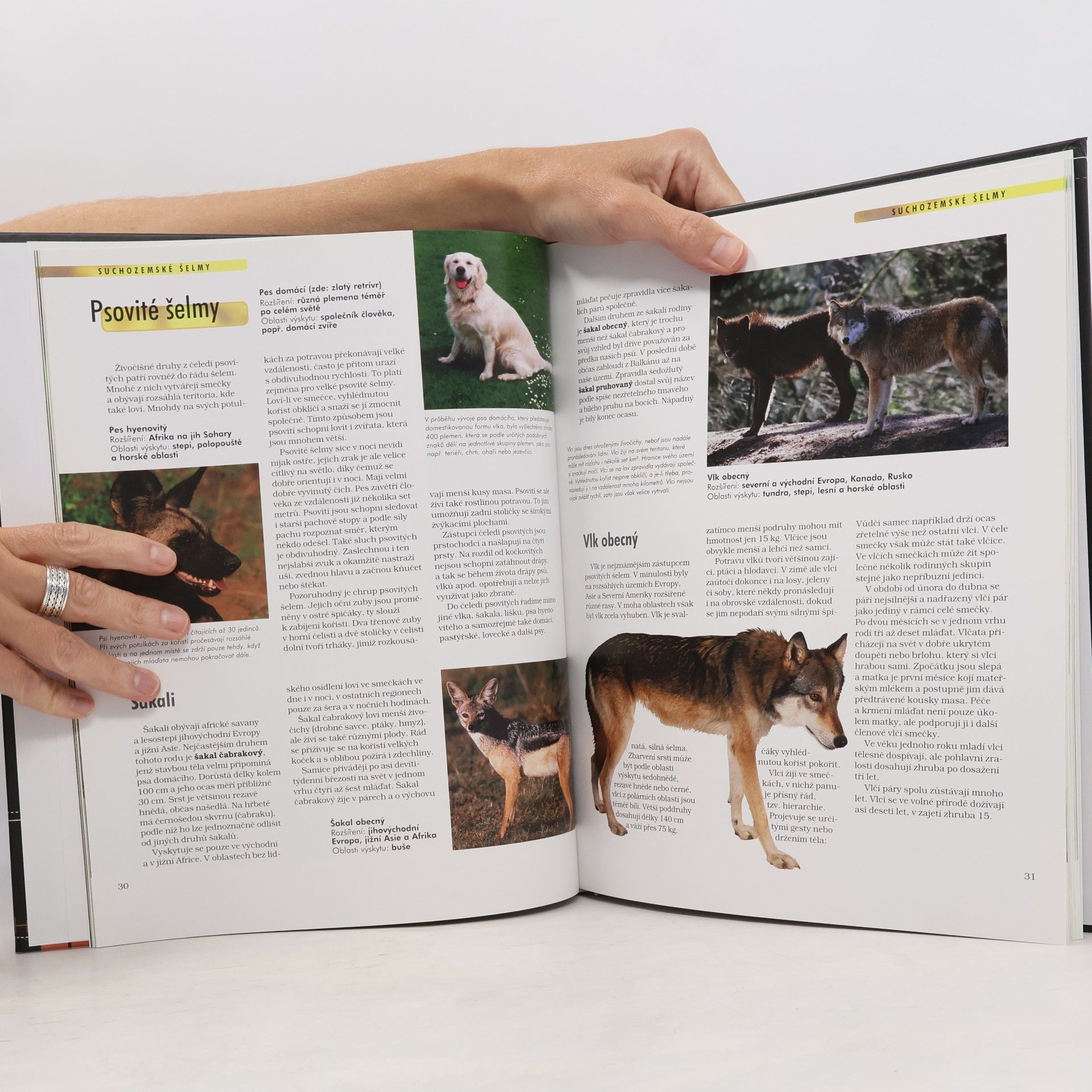 Autorenkollektiv Savci. Anatomie, chování, oblasti výskytu