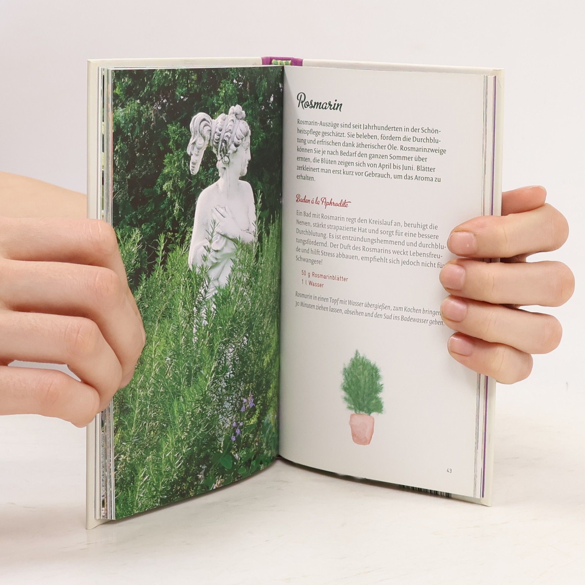 Katharina Bodenstein Das kleine Wohlfühlbuch