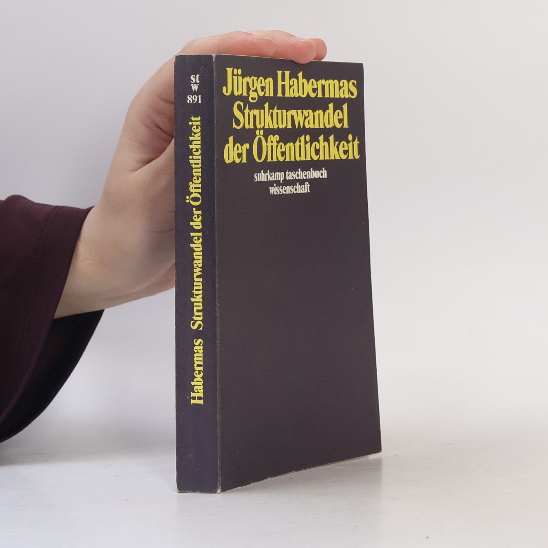 Jürgen Habermas Strukturwandel der Öffentlichkeit