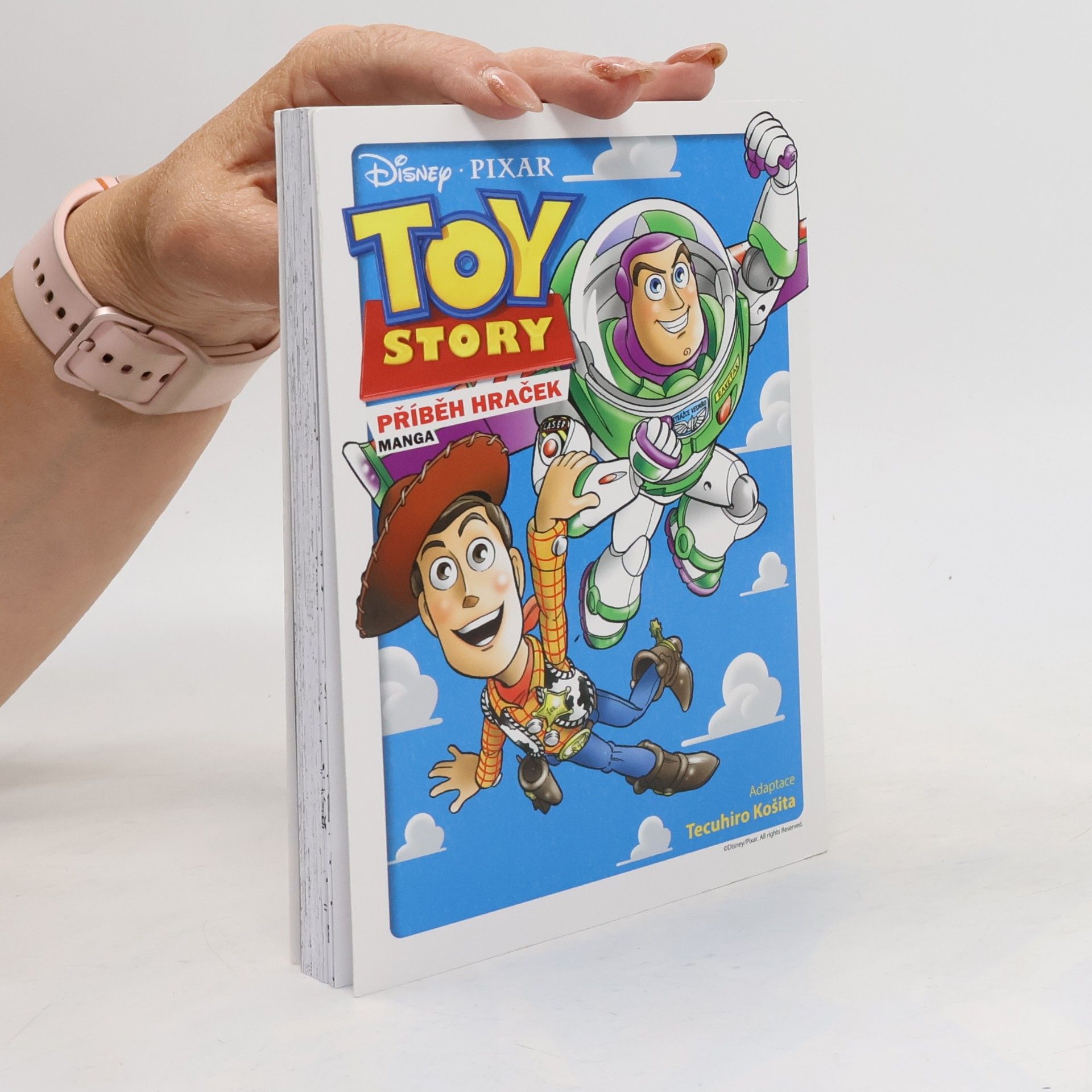 Tecuhiro Košita Toy Story - Příběh hraček 1