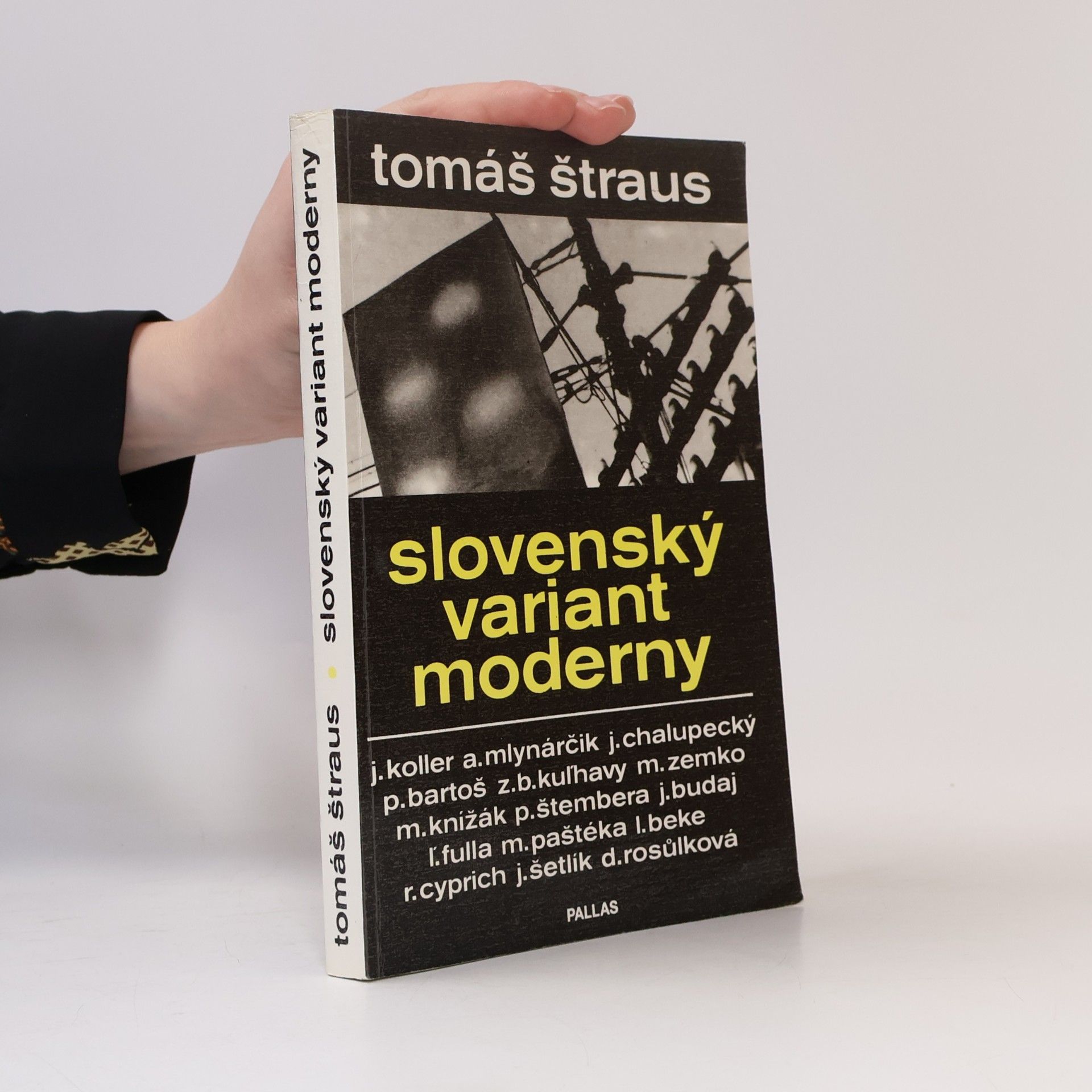 Tomáš Štraus Slovenský variant moderny
