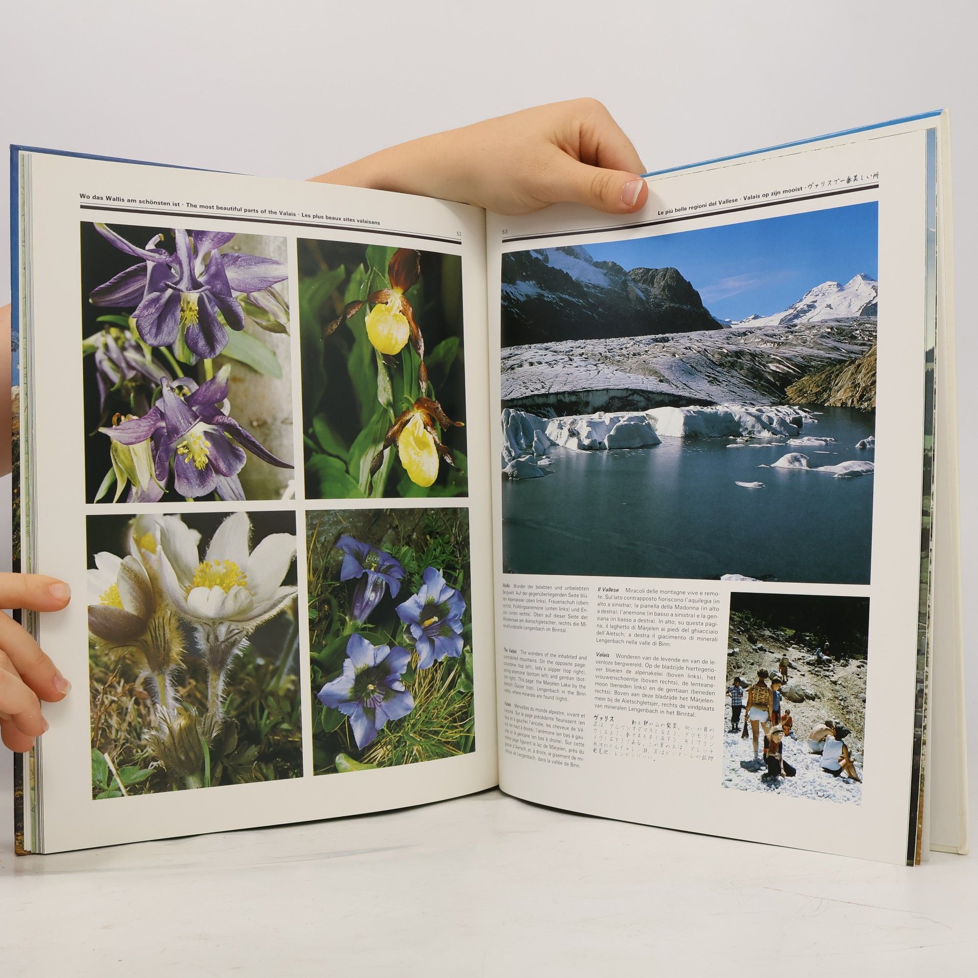 Various authors Schweiz, Schwitzerland, Suisse, Svizzera, Zwitserland, スイス