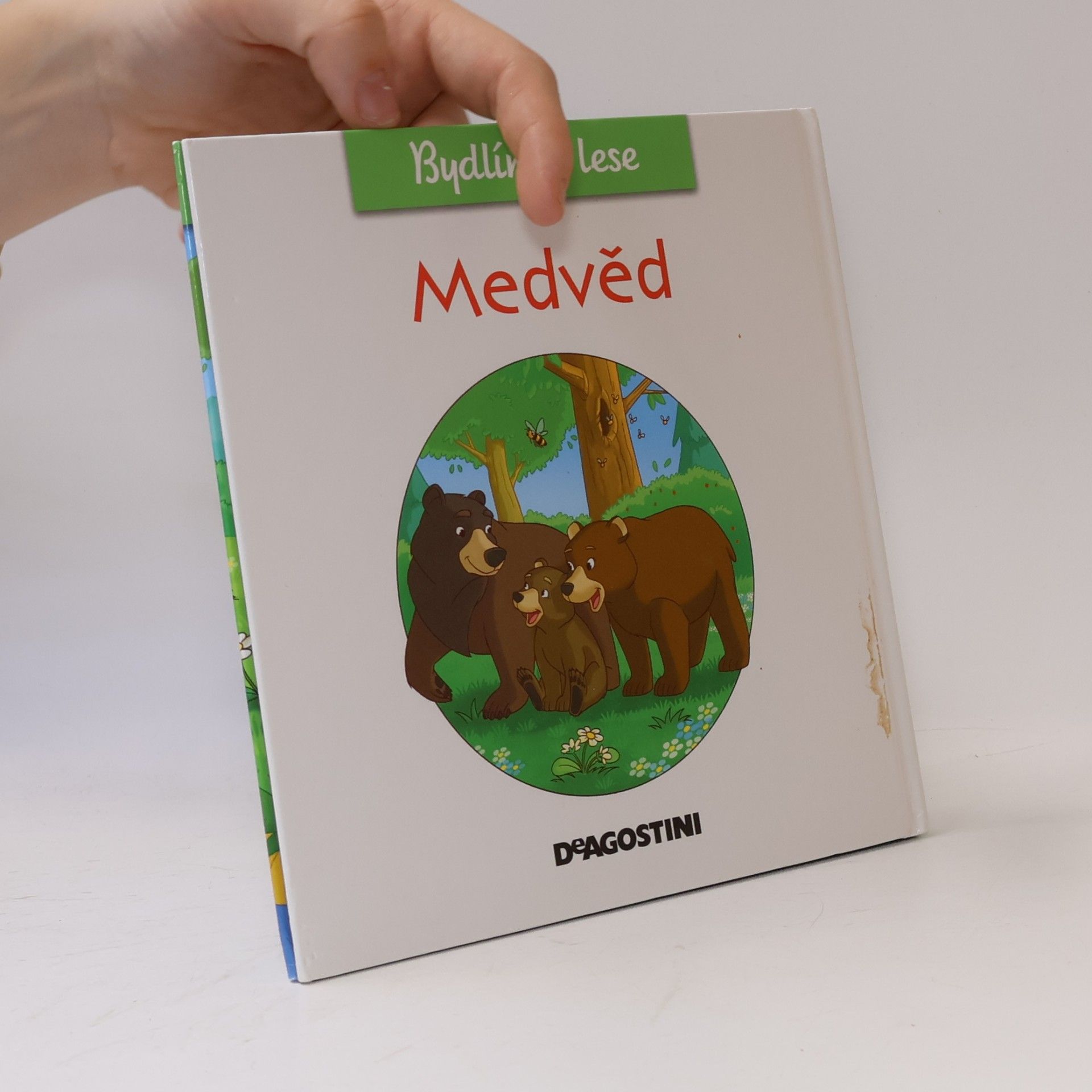 Feryal Kanbay Medvěd