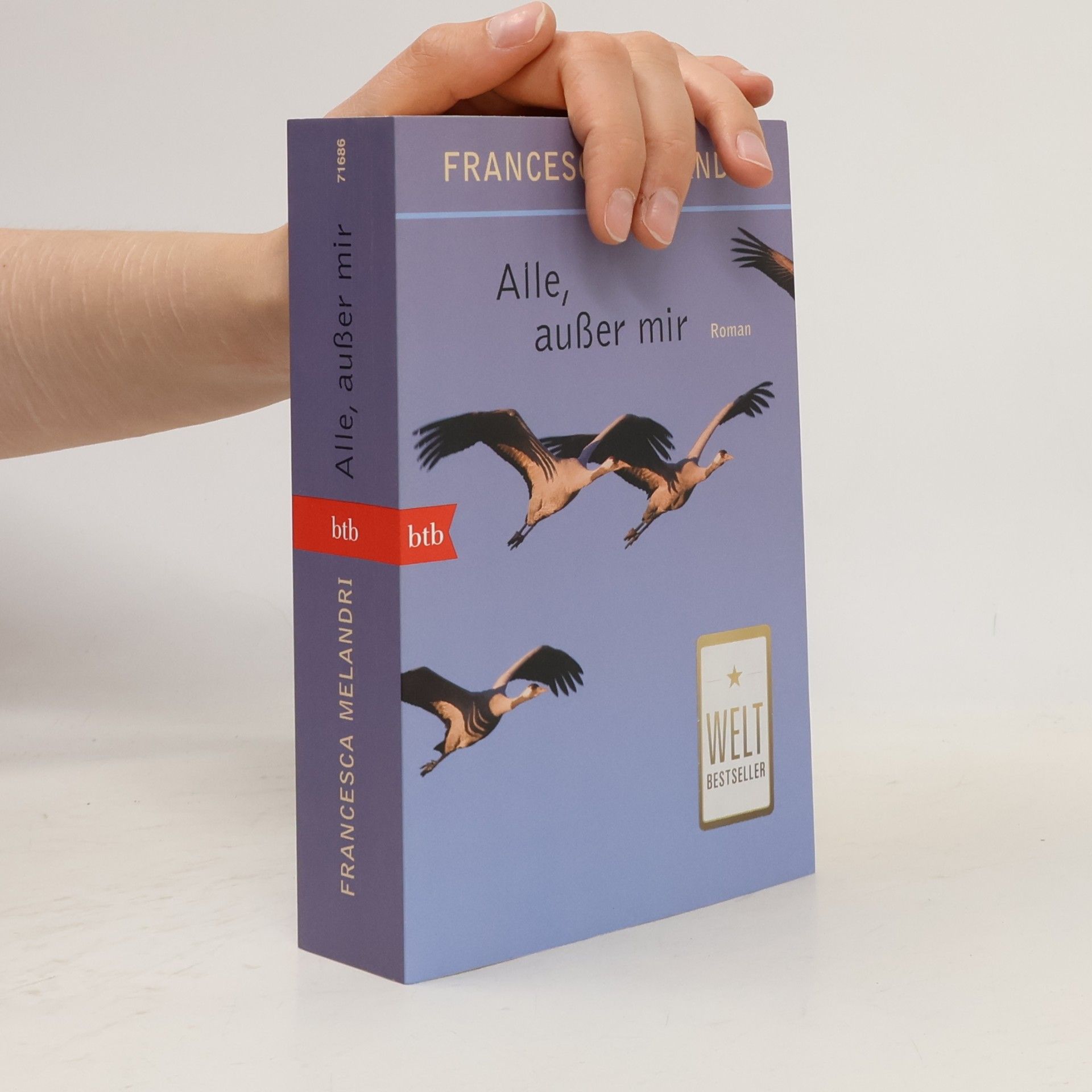 Francesca Melandri Alle, außer mir