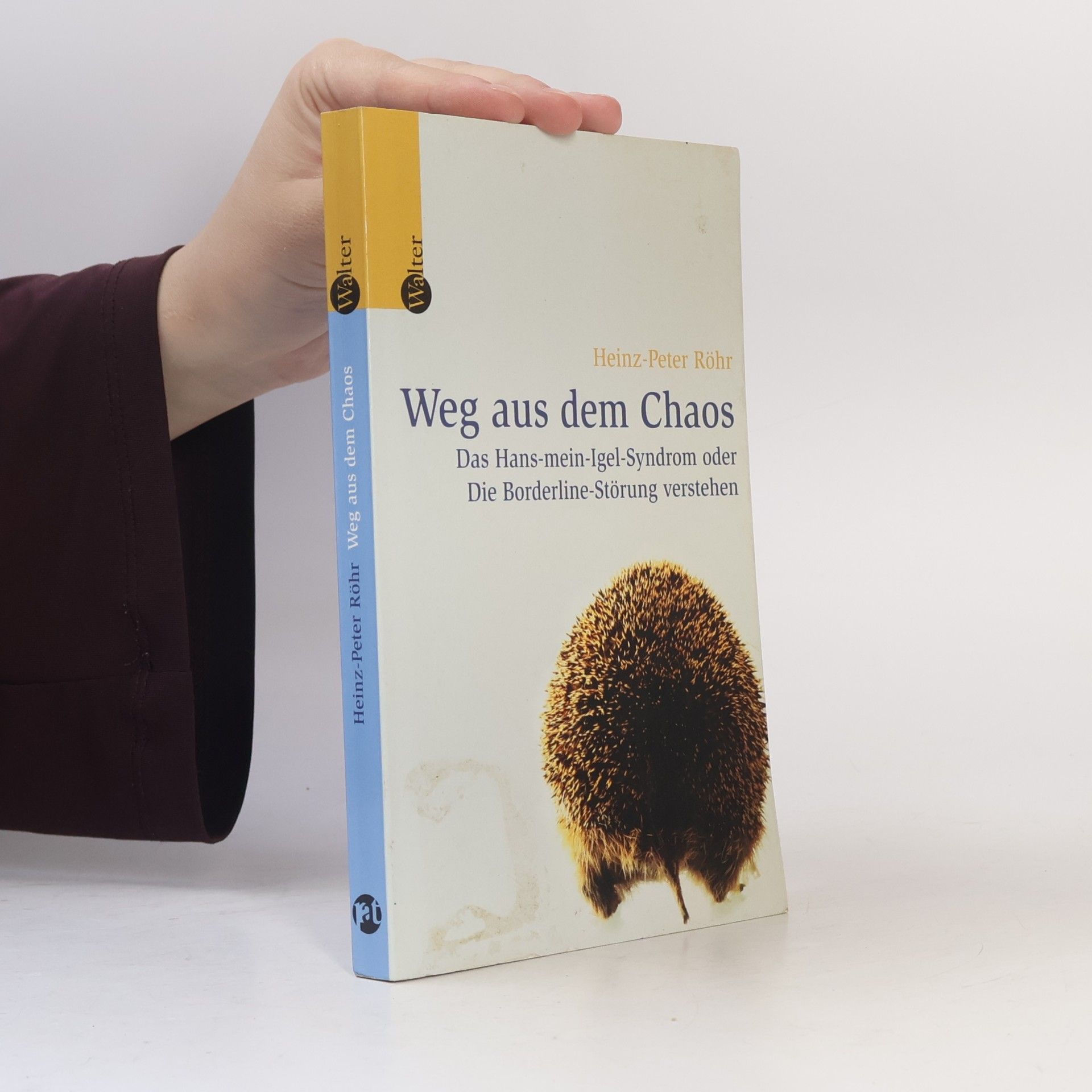 Heinz-Peter Röhr Weg aus dem Chaos