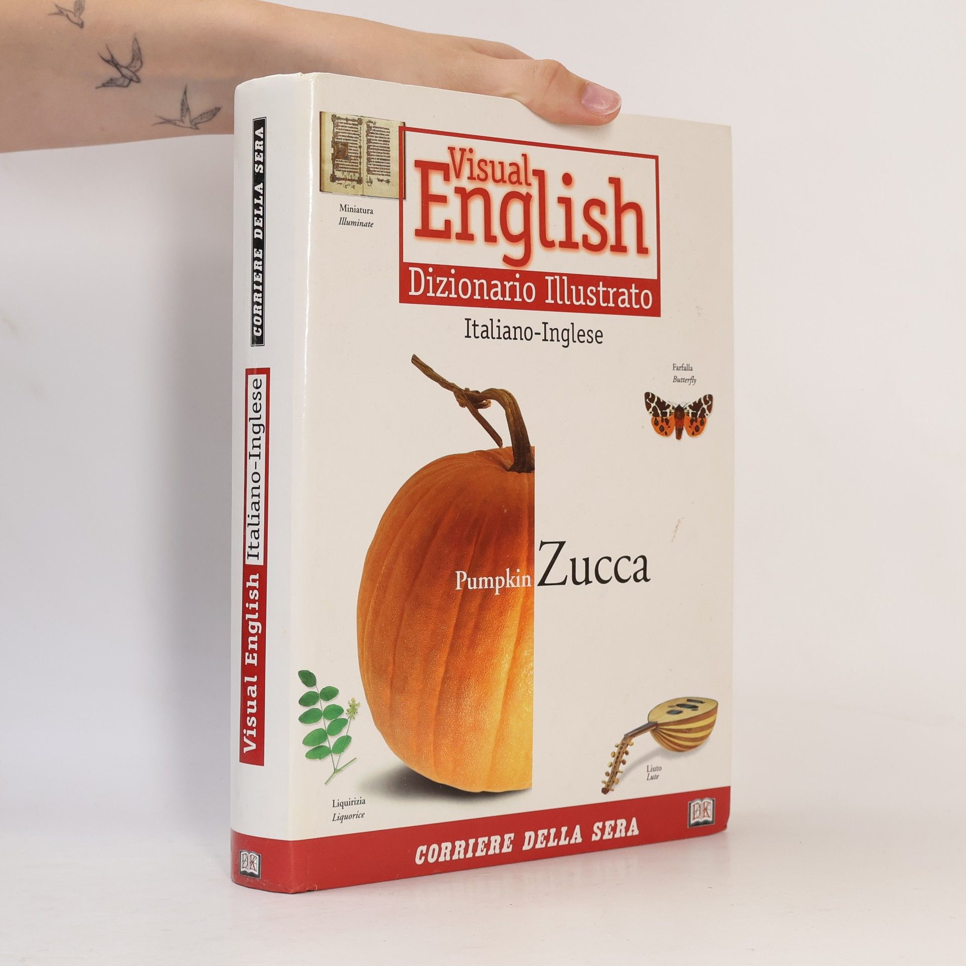 Various authors Visual English. Dizionario Illustrato. Inglese-Italiano