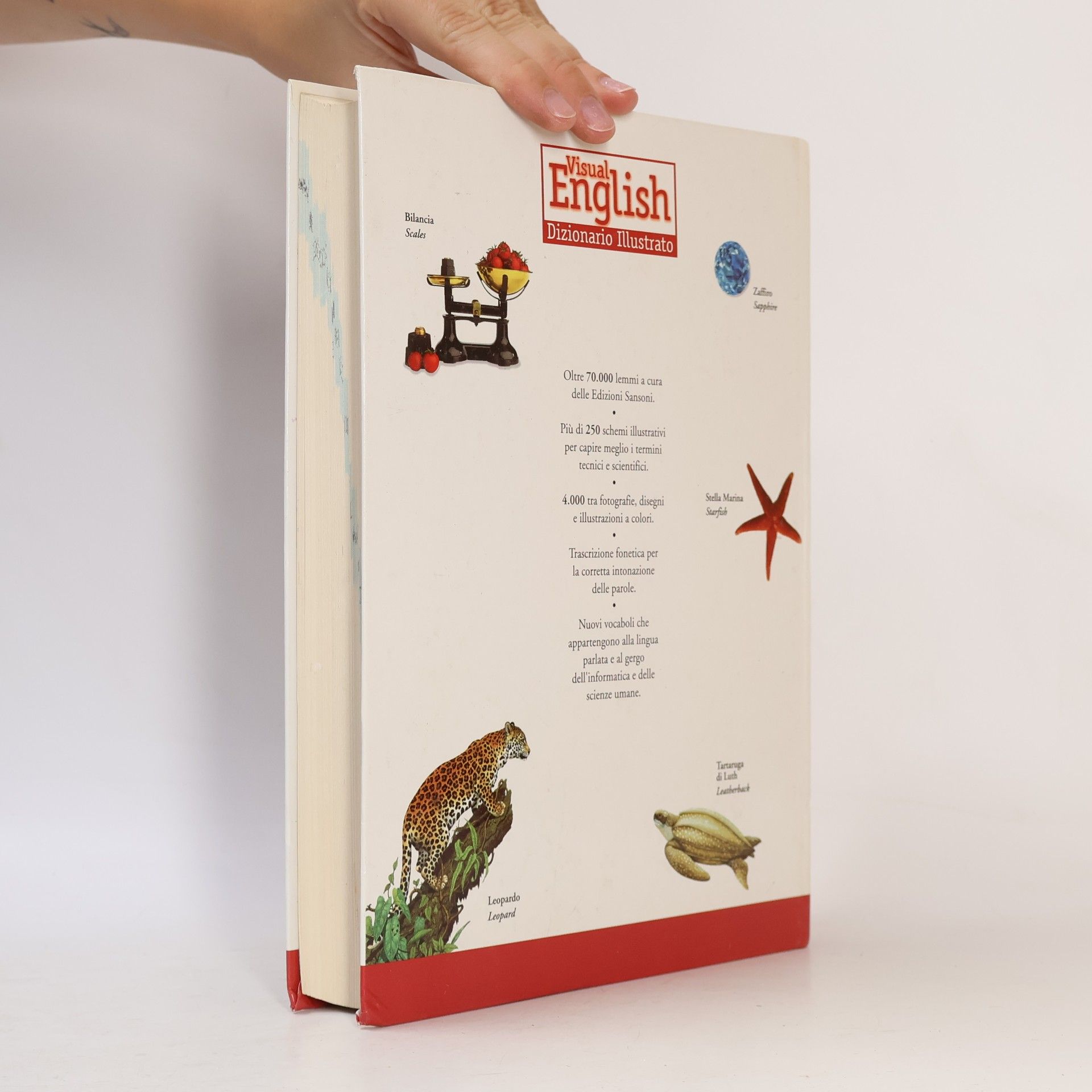 kolektiv Visual English. Dizionario Illustrato. Inglese-Italiano