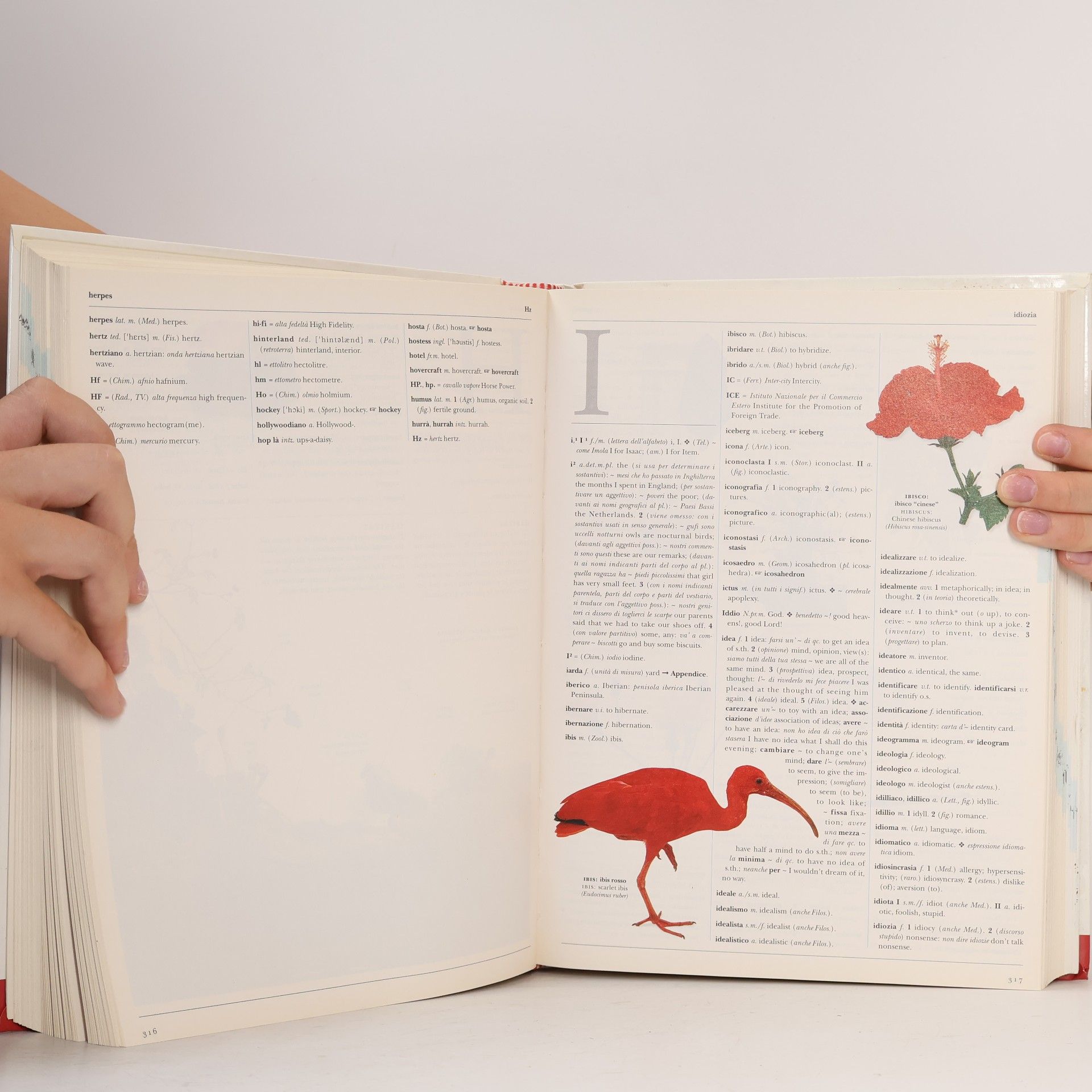 kolektiv Visual English. Dizionario Illustrato. Inglese-Italiano