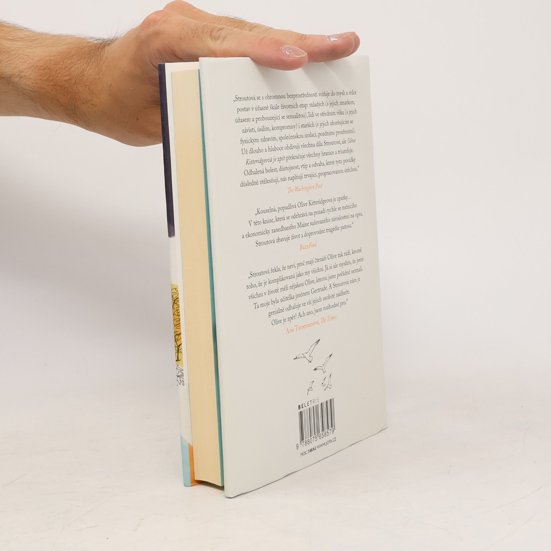 Elizabeth Strout Olive Kitteridgeová je zpět