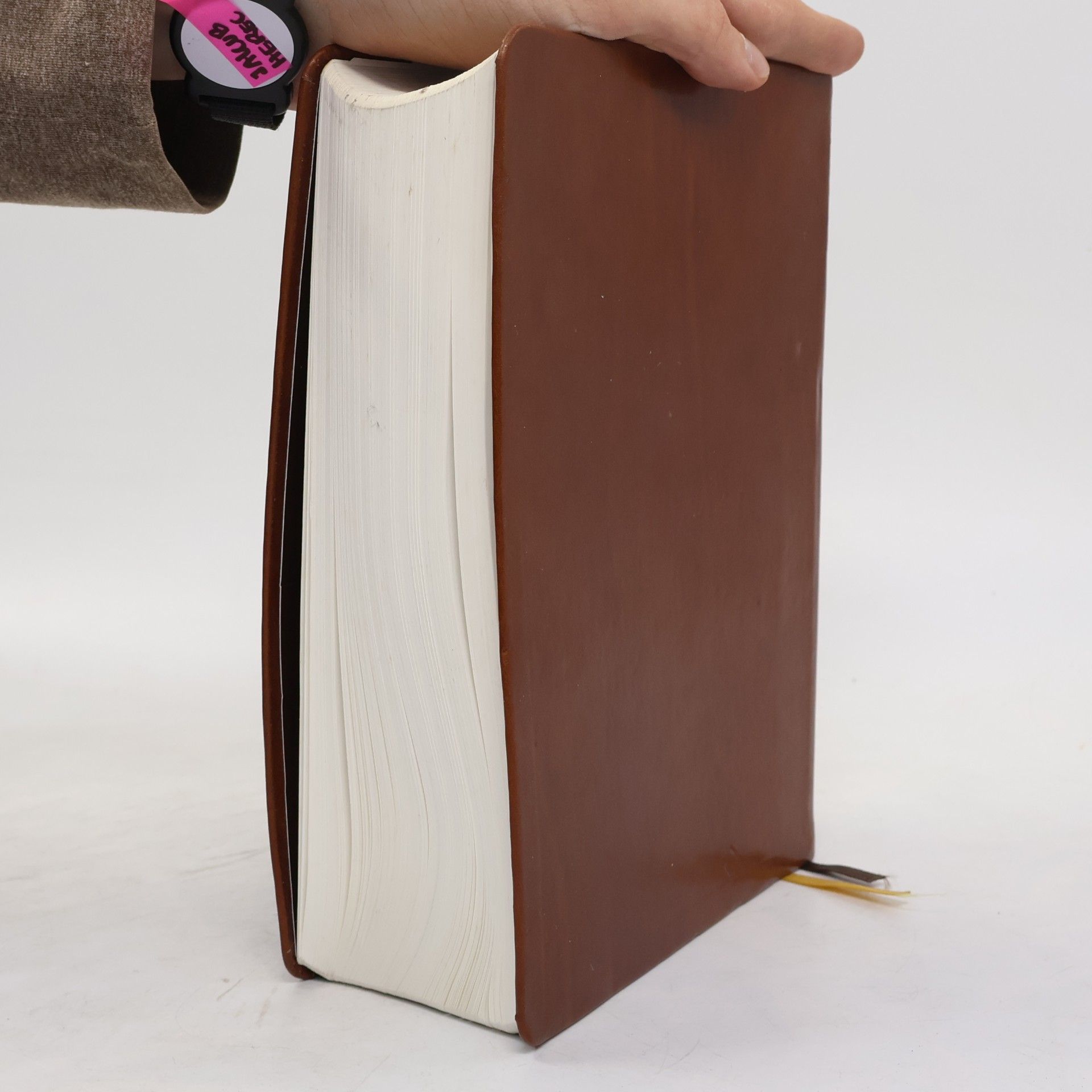 Jiří Brodský Kralická Bible : český ekumenický překlad - Bible kralická