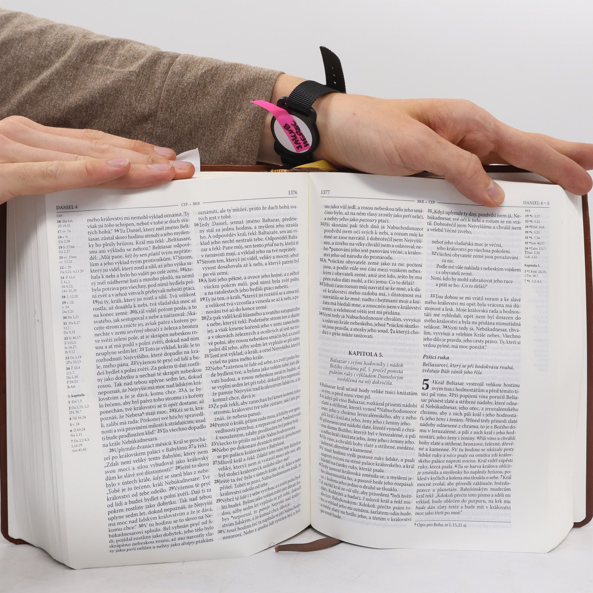 Jiří Brodský Kralická Bible : český ekumenický překlad - Bible kralická