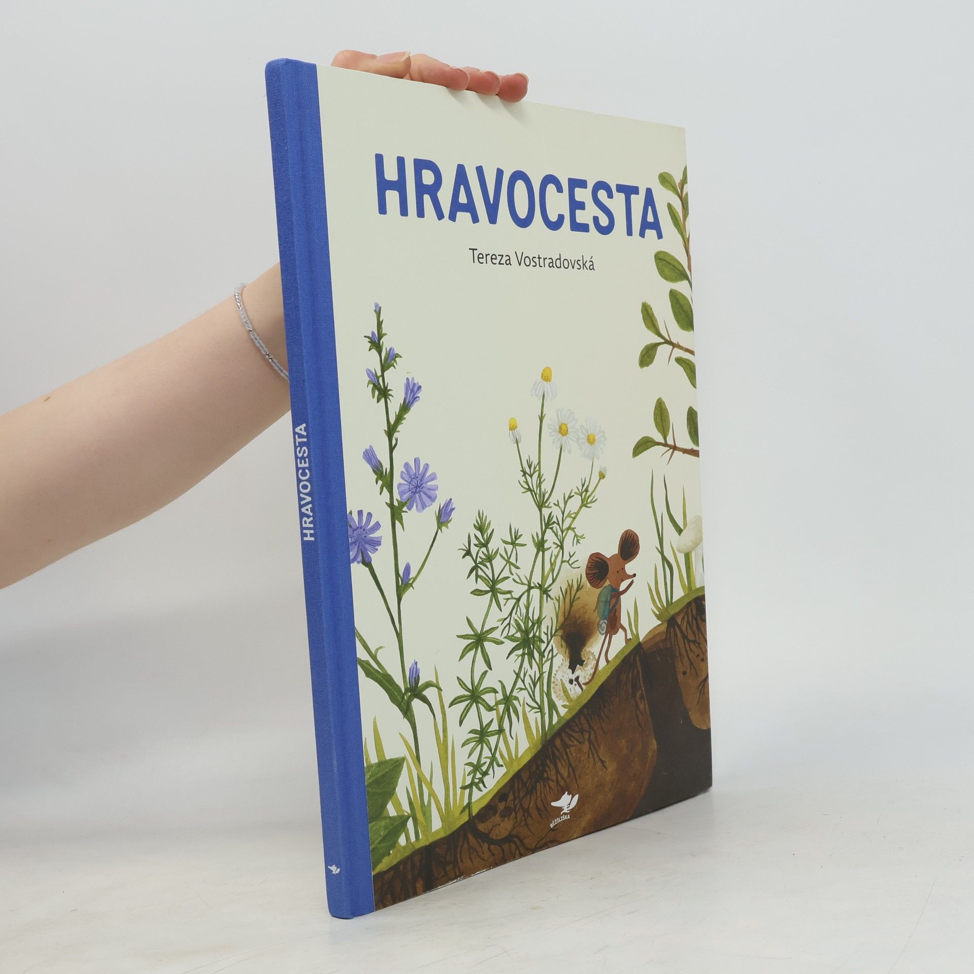 Tereza Vostradovská Hravocesta