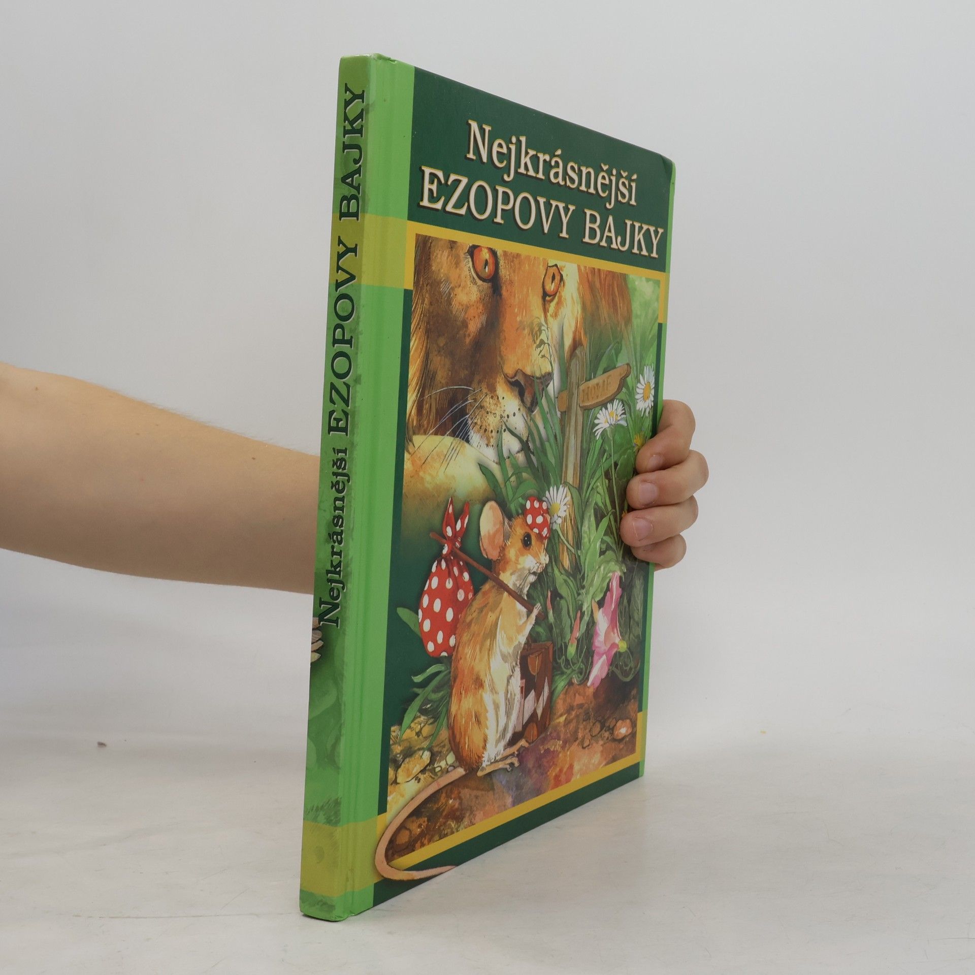 Kolektiv autorů Nejkrásnější Ezopovy bajky