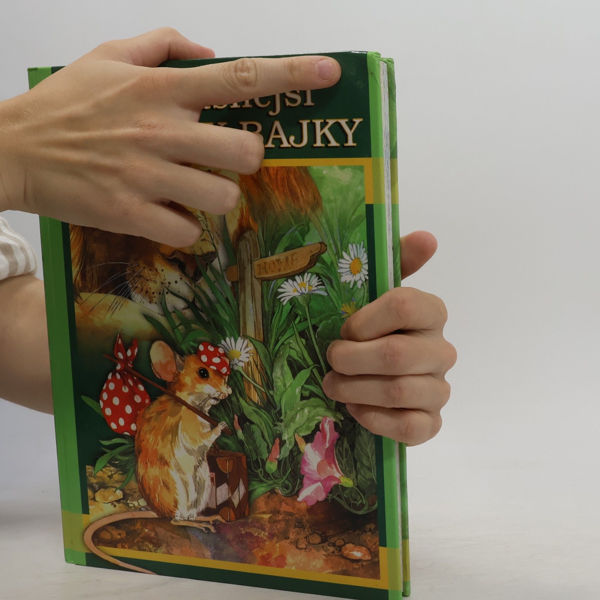 Kolektiv autorů Nejkrásnější Ezopovy bajky