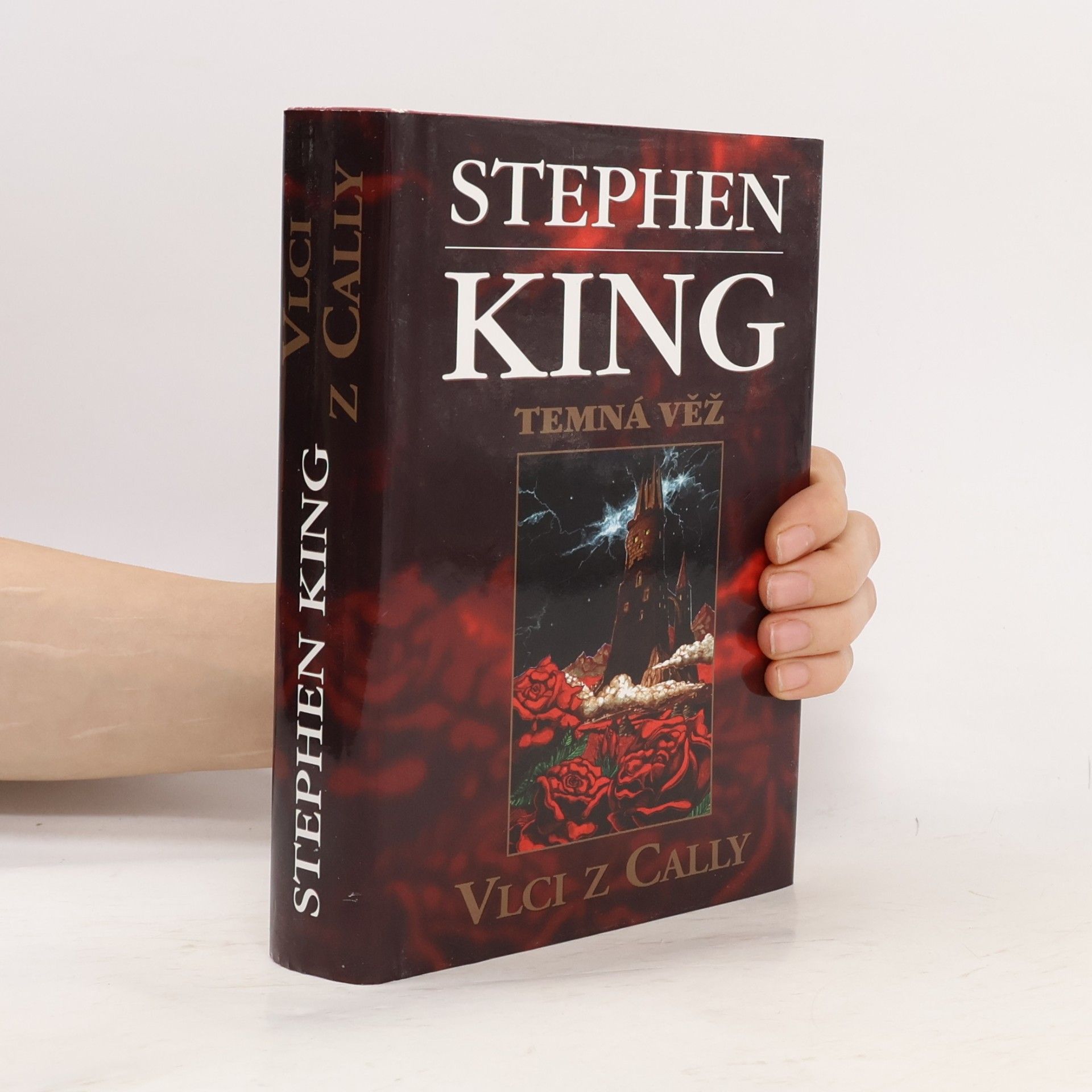 Stephen King Temná věž: Vlci z Cally
