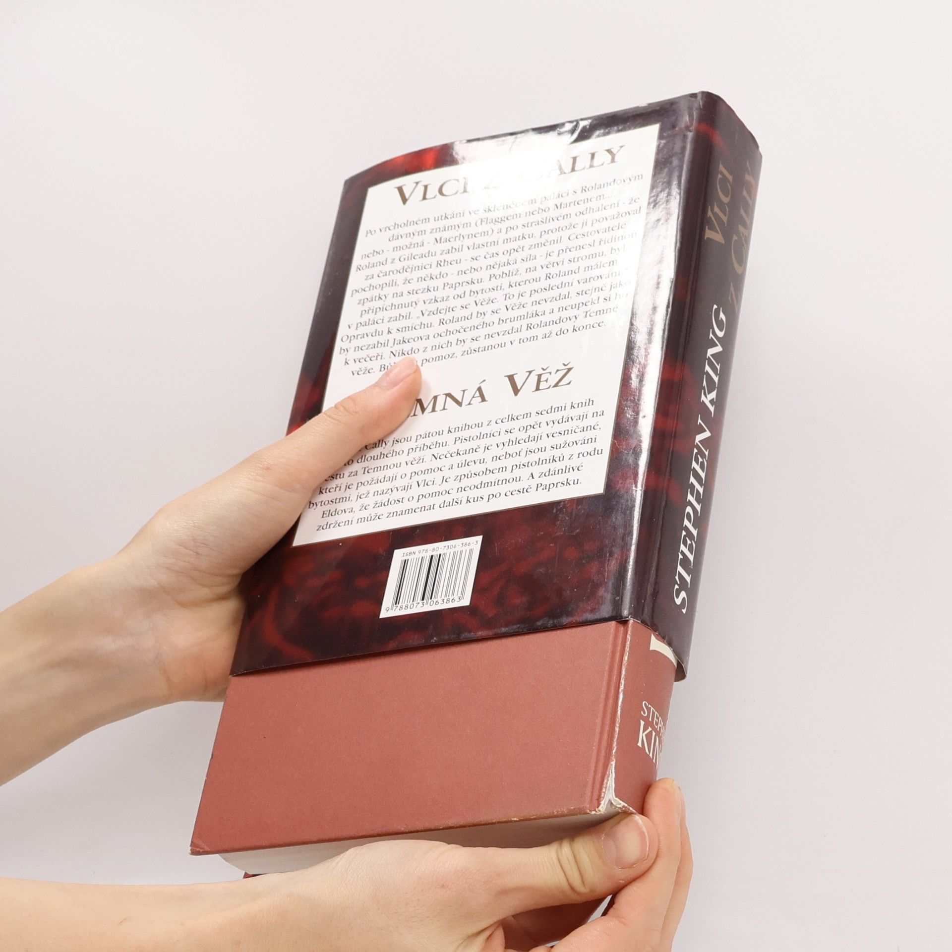 Stephen King Temná věž: Vlci z Cally