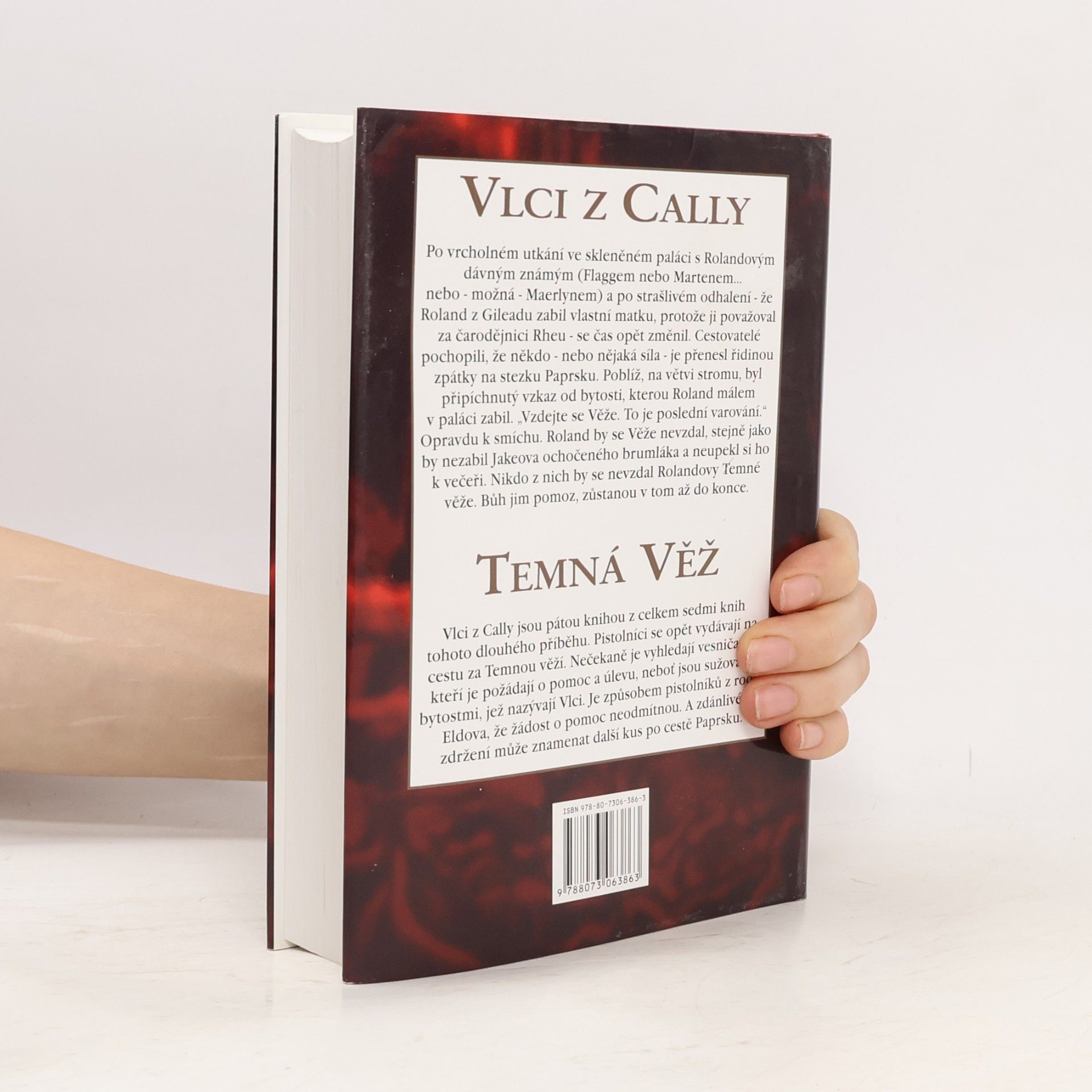 Stephen King Temná věž: Vlci z Cally