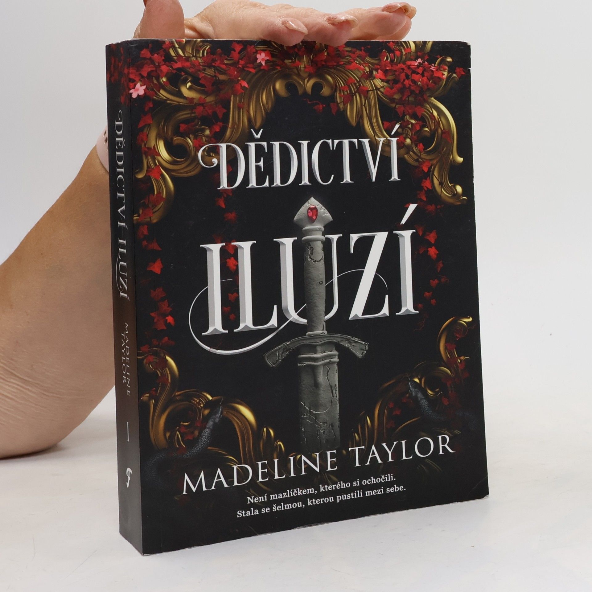 Madeline Taylor Dědictví iluzí I