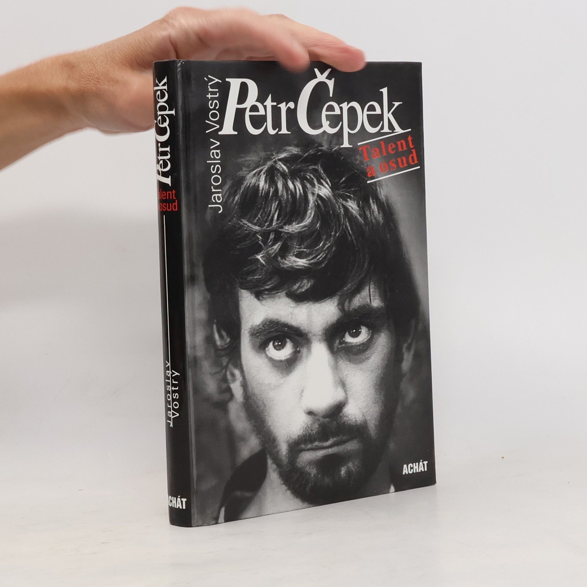 Petr Čepek. Talent a osud
