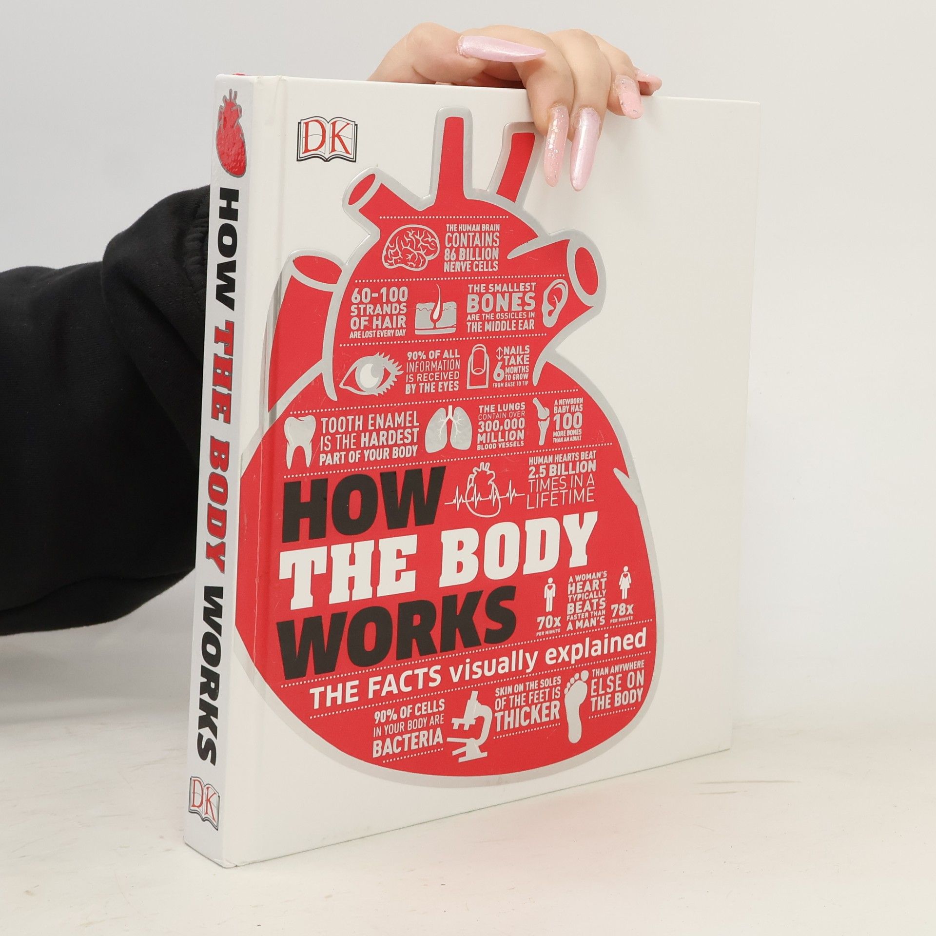 Kolektiv autorů How the Body Works