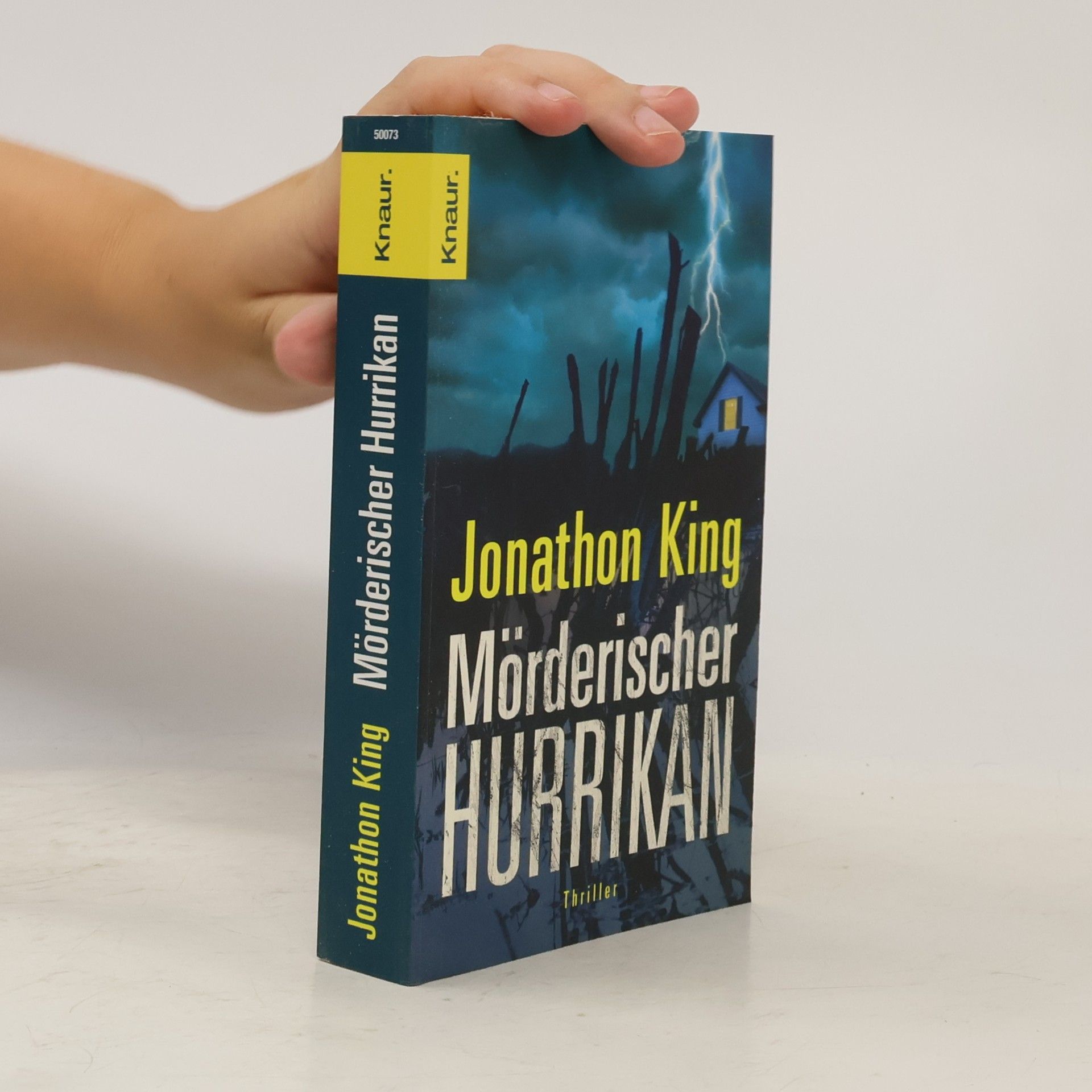 Jonathon King Mörderischer Hurrikan. Max Freeman Band 5
