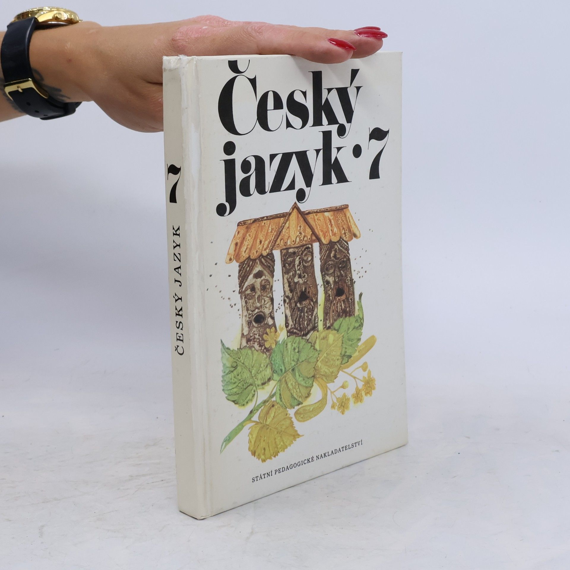 Vlastimil Styblík Český jazyk 7