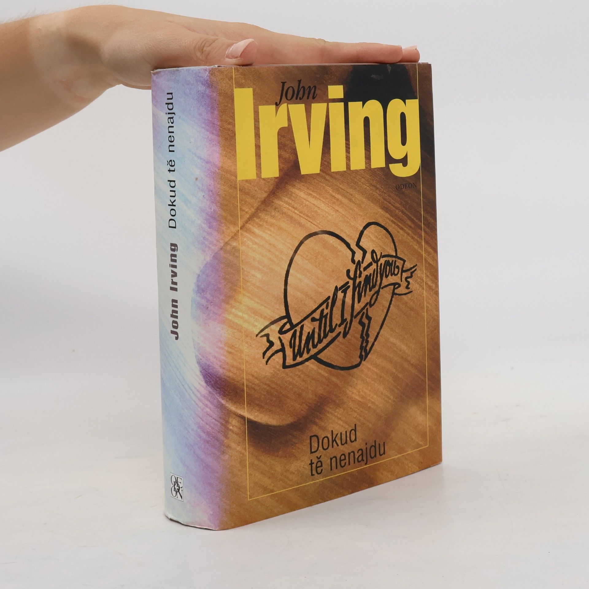 John Irving Dokud tě nenajdu