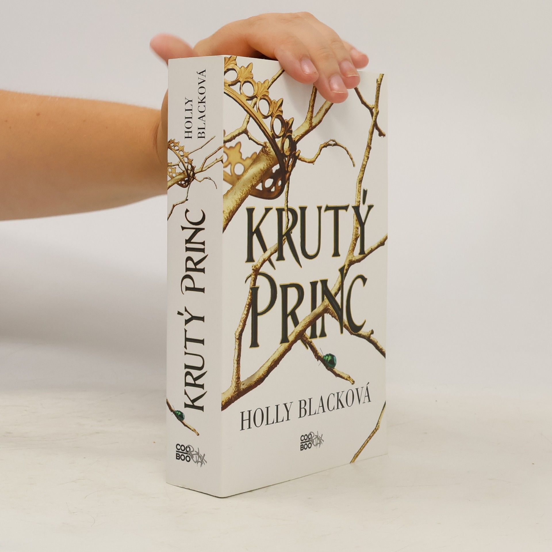 Holly Black Krutý princ